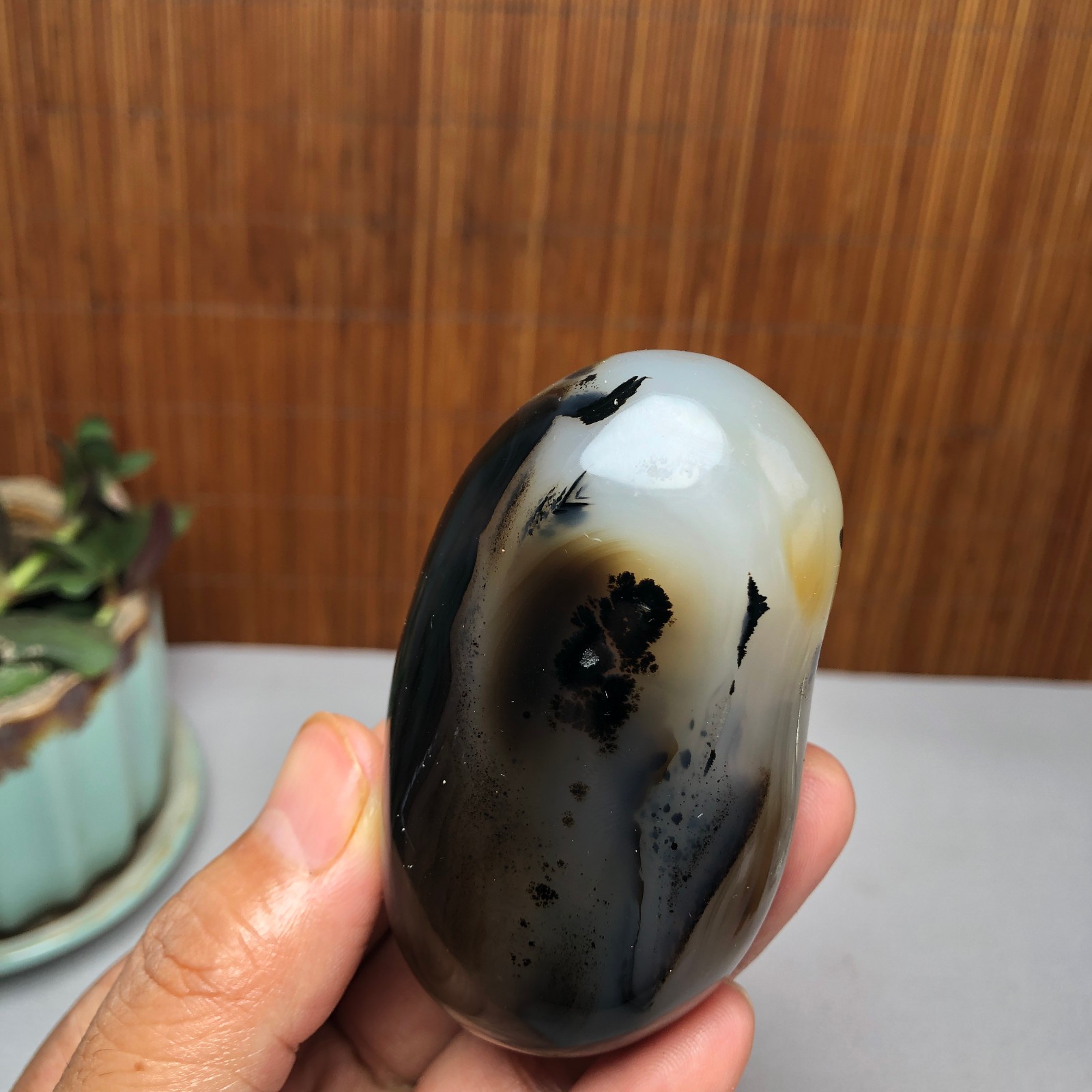 72mm Natural aquatic plants agate pretty Crystal specimens 167g A9995
