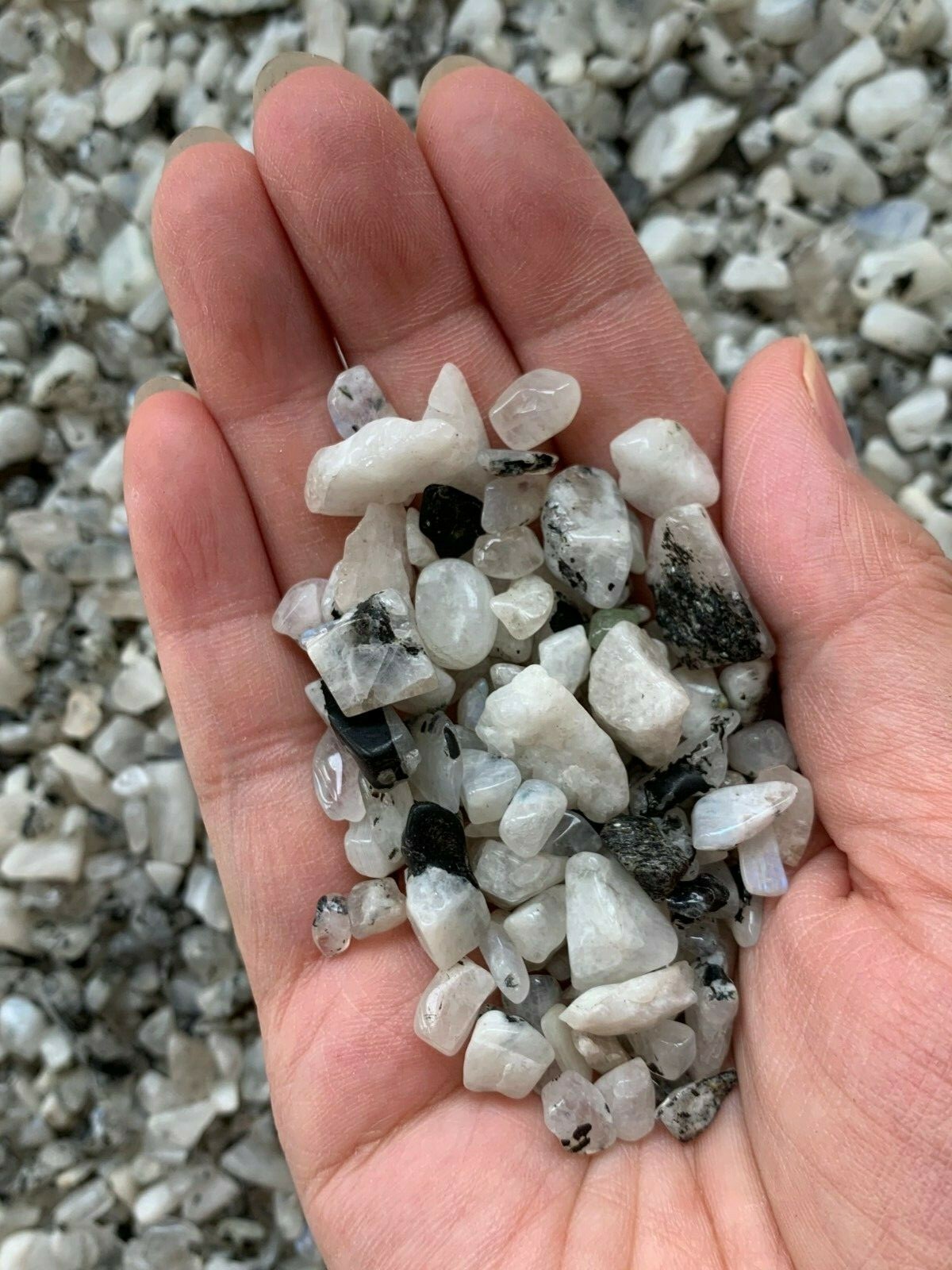 Moonstone Rainbow Semi Tumbled Gemstone Mini Chips 5-15 mm, Wholesale Bulk Lot