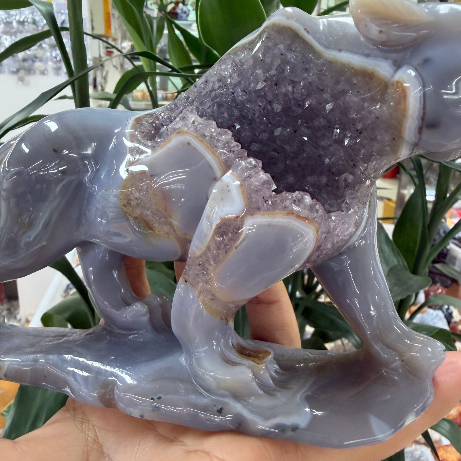 720g natural agate geode quartz carved cheetah Skull Crystal Decor Reiki