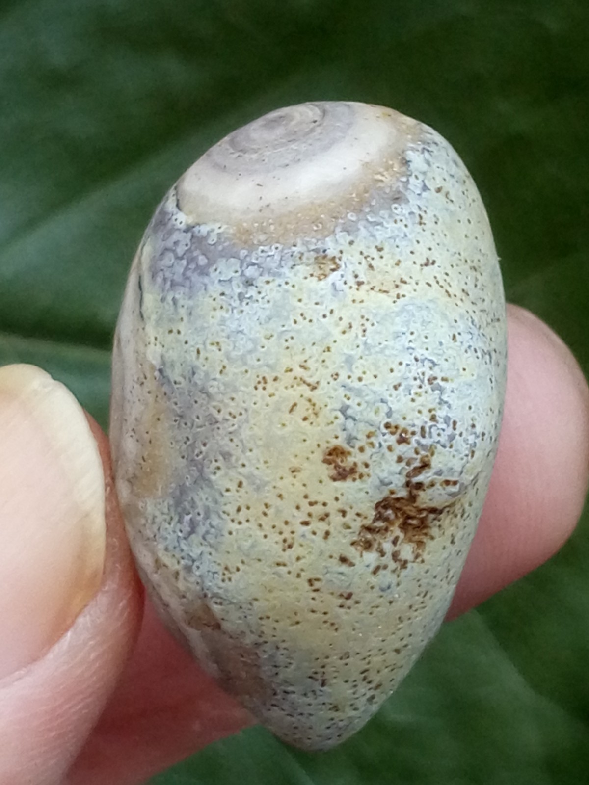 33mm Beautiful Natural Gobi agate eye agate collection Landscape stone