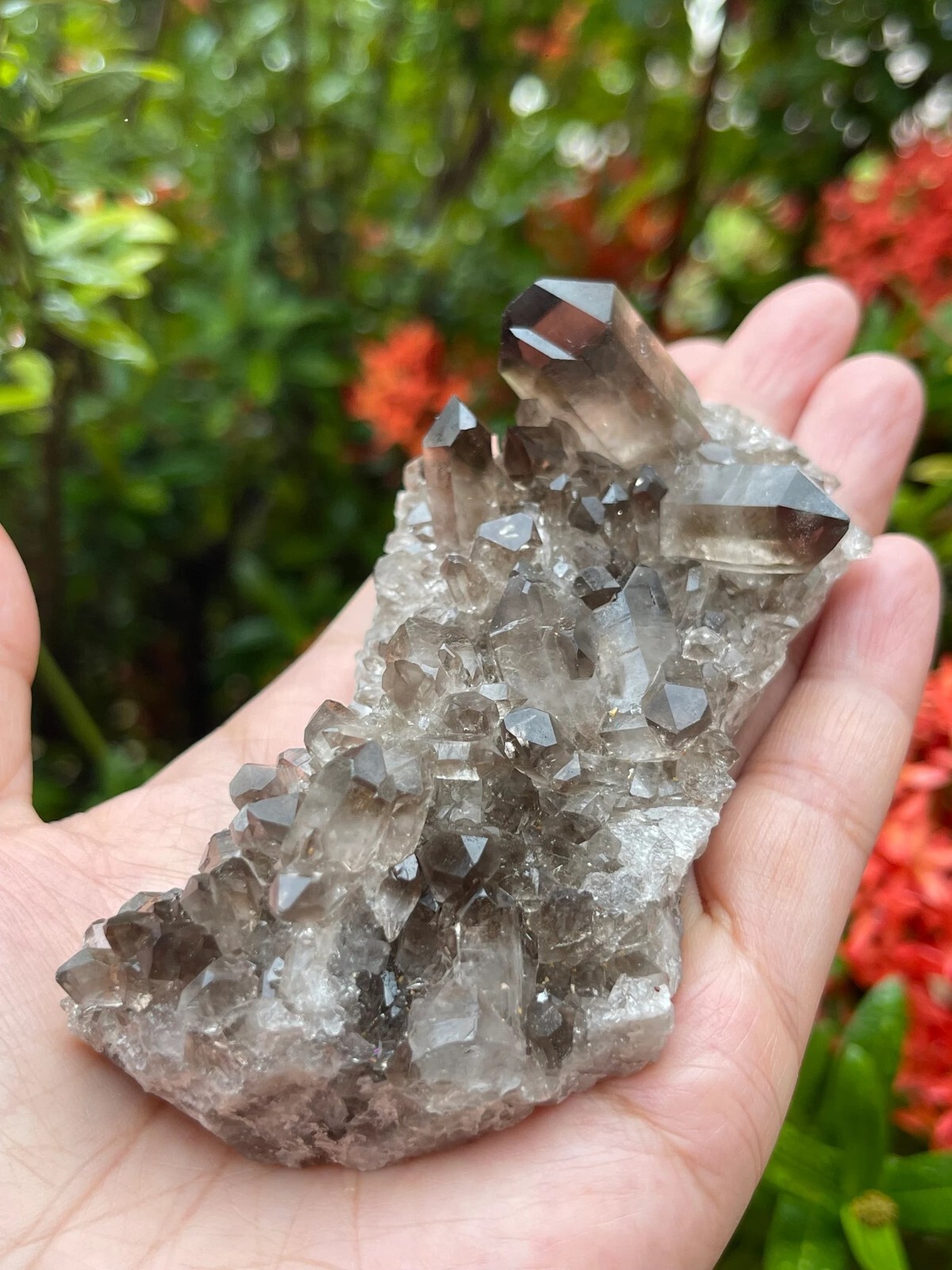 Grade A++ Smoky Quartz Cluster, 1.5-3 Inch Smoky Quartz Crystals, Pick A Size