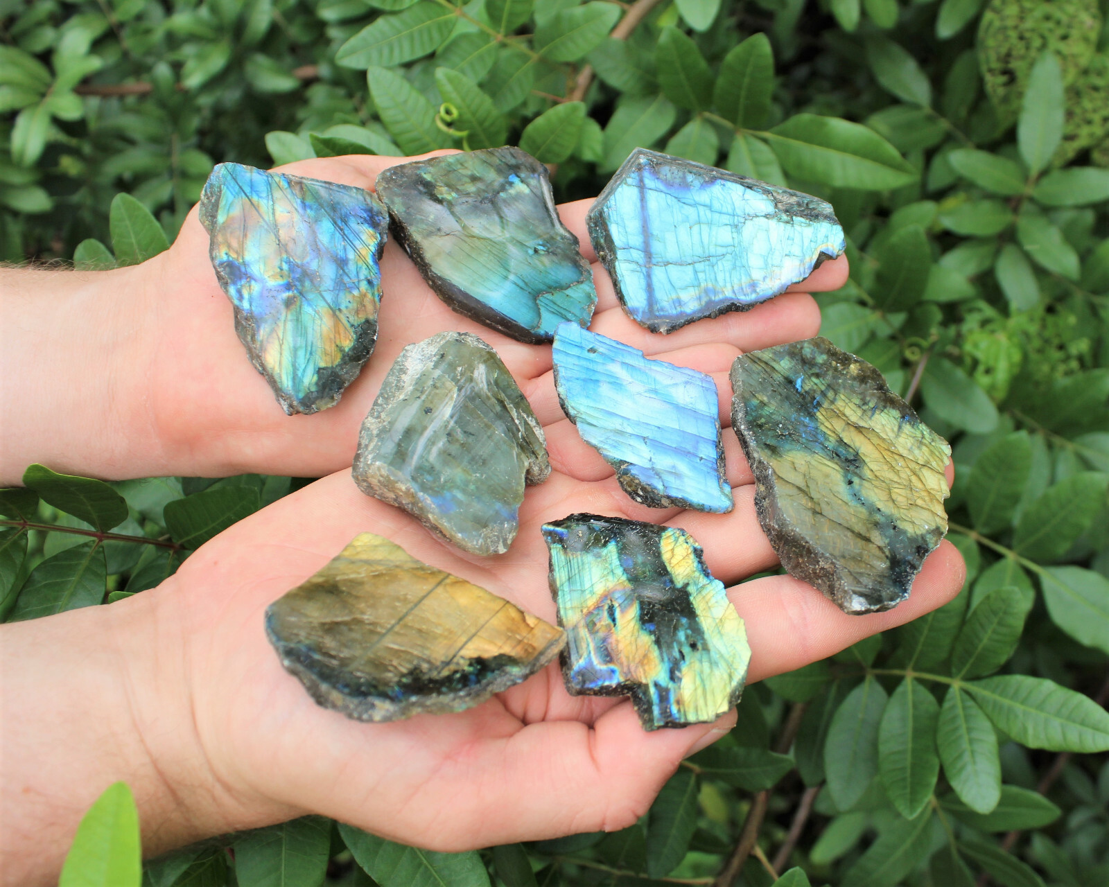 Natural Labradorite Slabs 1.5-2″ (High Flash Raw Labradorite Crystal Slices)