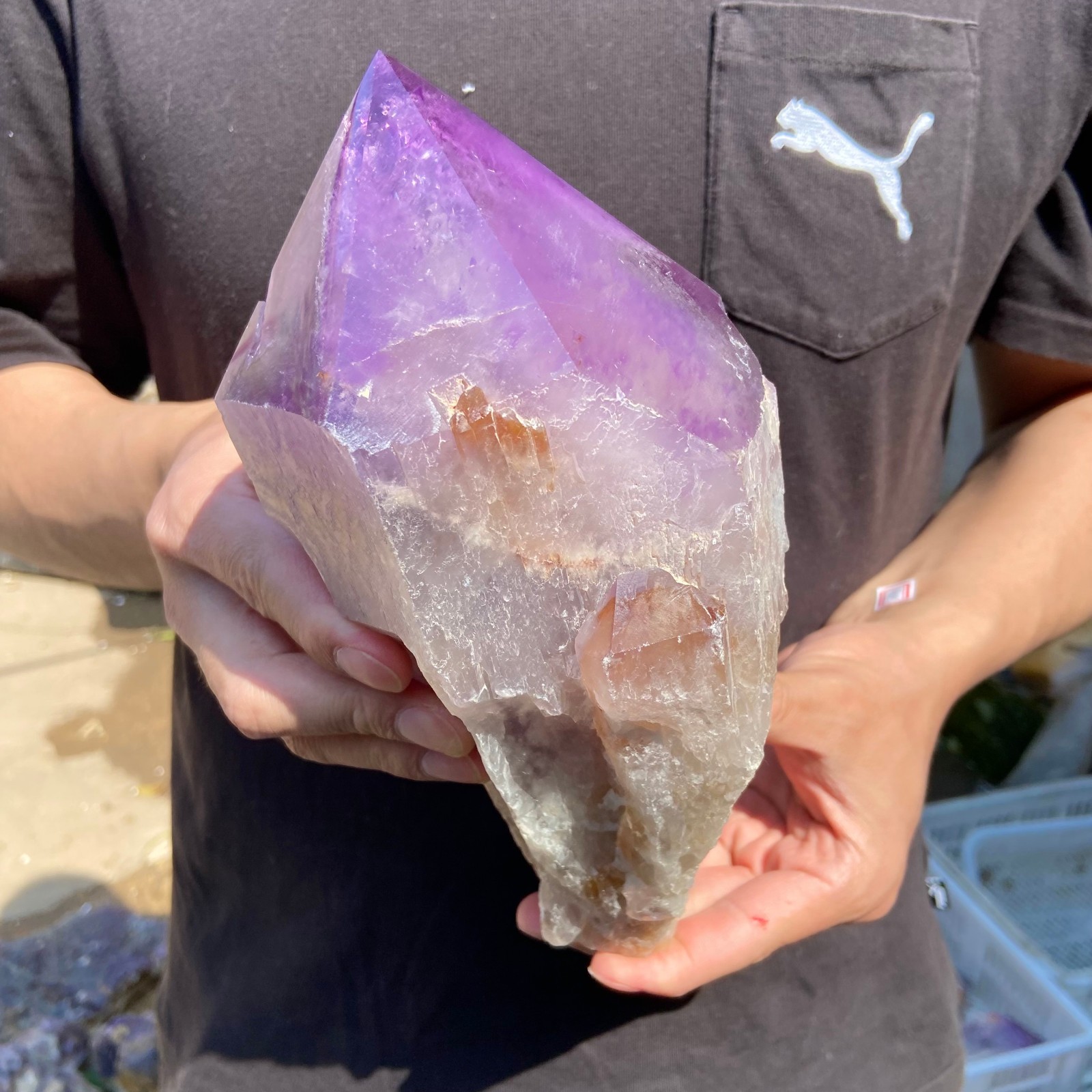 5.9lb Natural Amethyst Point quartz crystal polishing specimen Healing