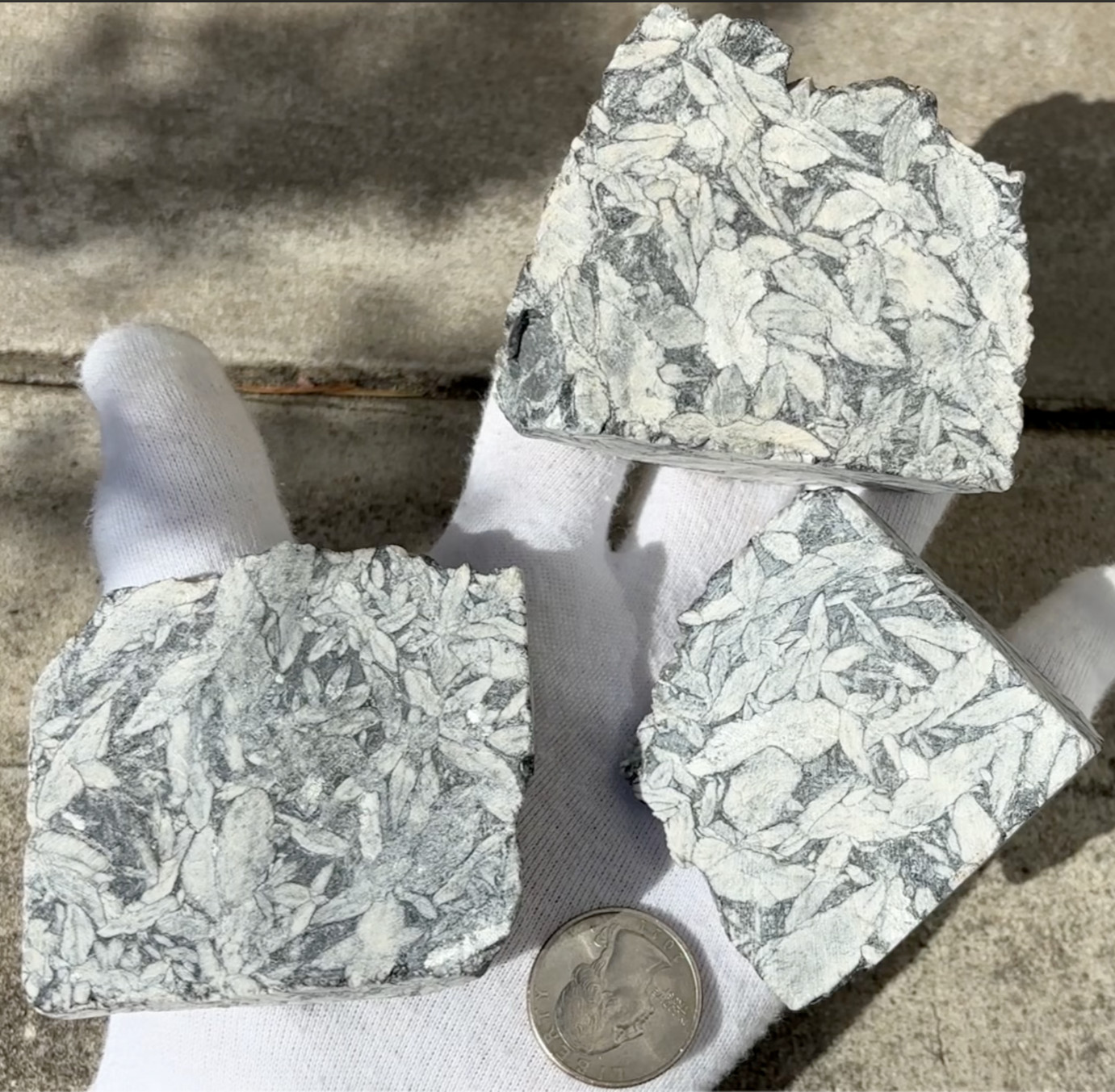 1lb+ LOT PINOLITH JASPER ROUGH LARGE SPECIMENS SPECIMEN 1 POUND LARGE CHUNKS