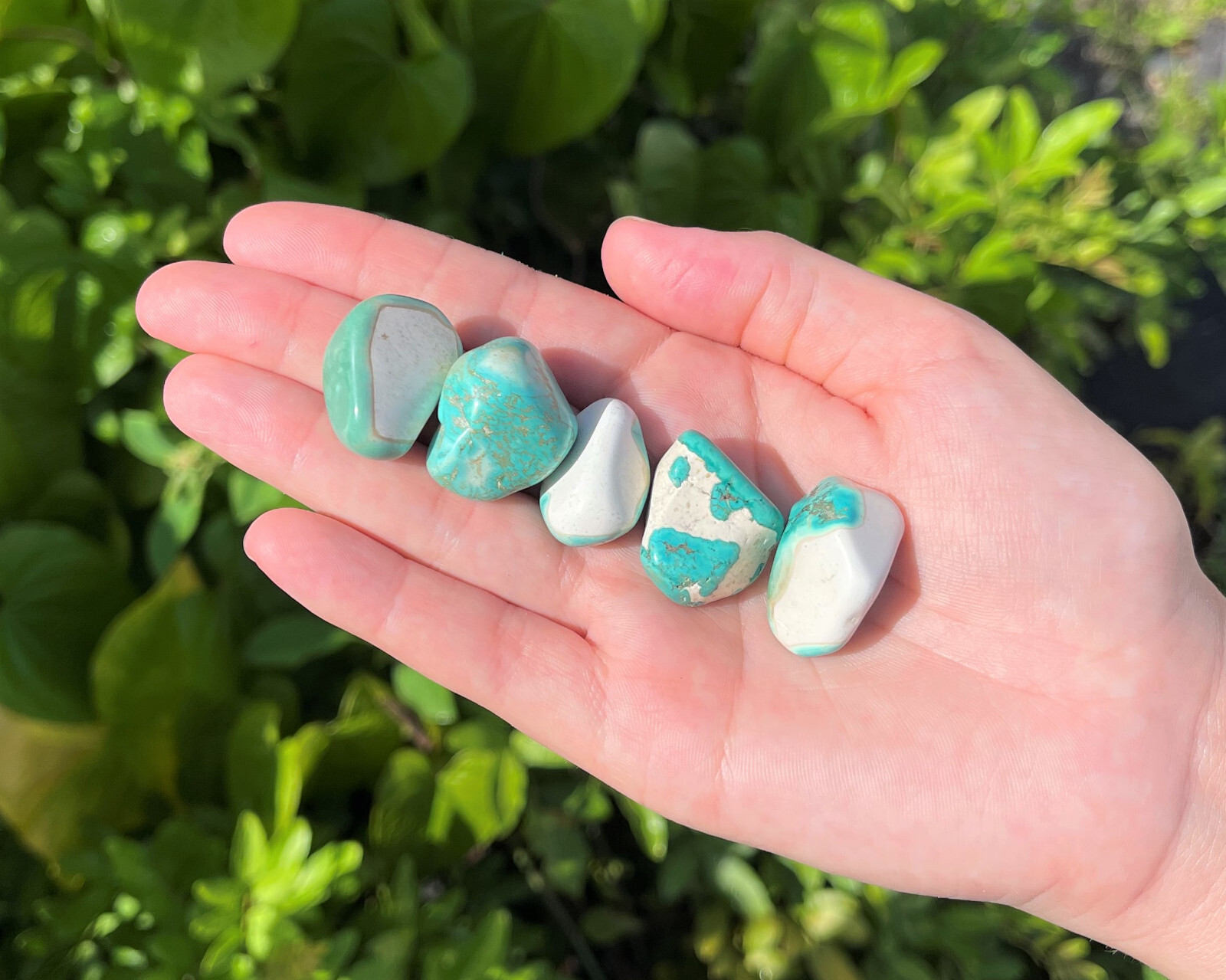 Turquoise Howlite Tumbled Stones: Choose Amount Ounces or lb Wholesale Bulk Lots
