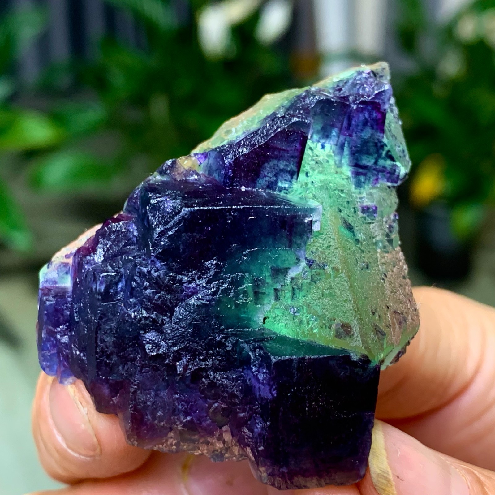 50G Rare transparent green purple cubic Zhejiang fluorite mineral sample