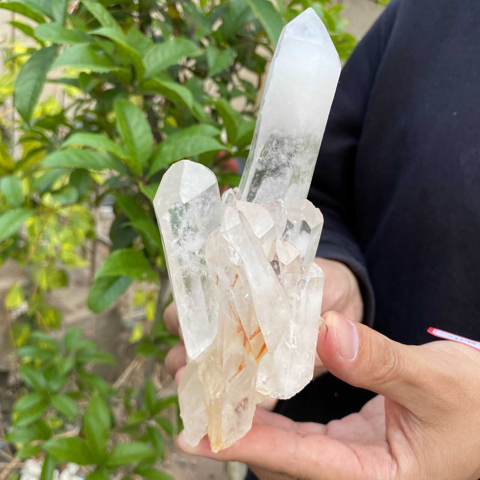 1.2lb Natural Clear White quart Crystal Cluster Raw Healing Specimen
