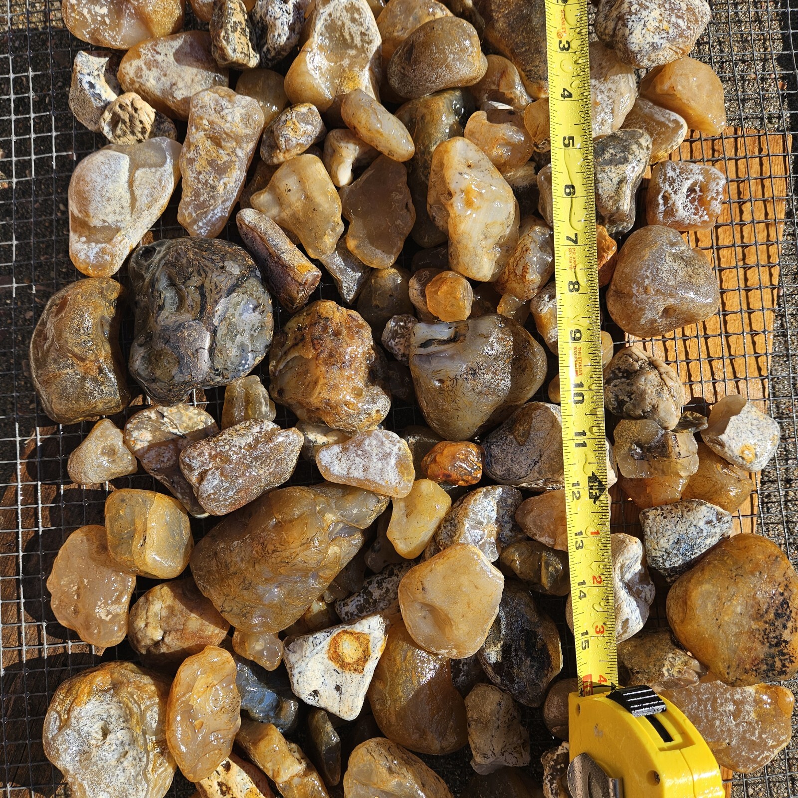 Montana Agate. 8 pounds. Tumbling / Cutting Rough. Ships Free.