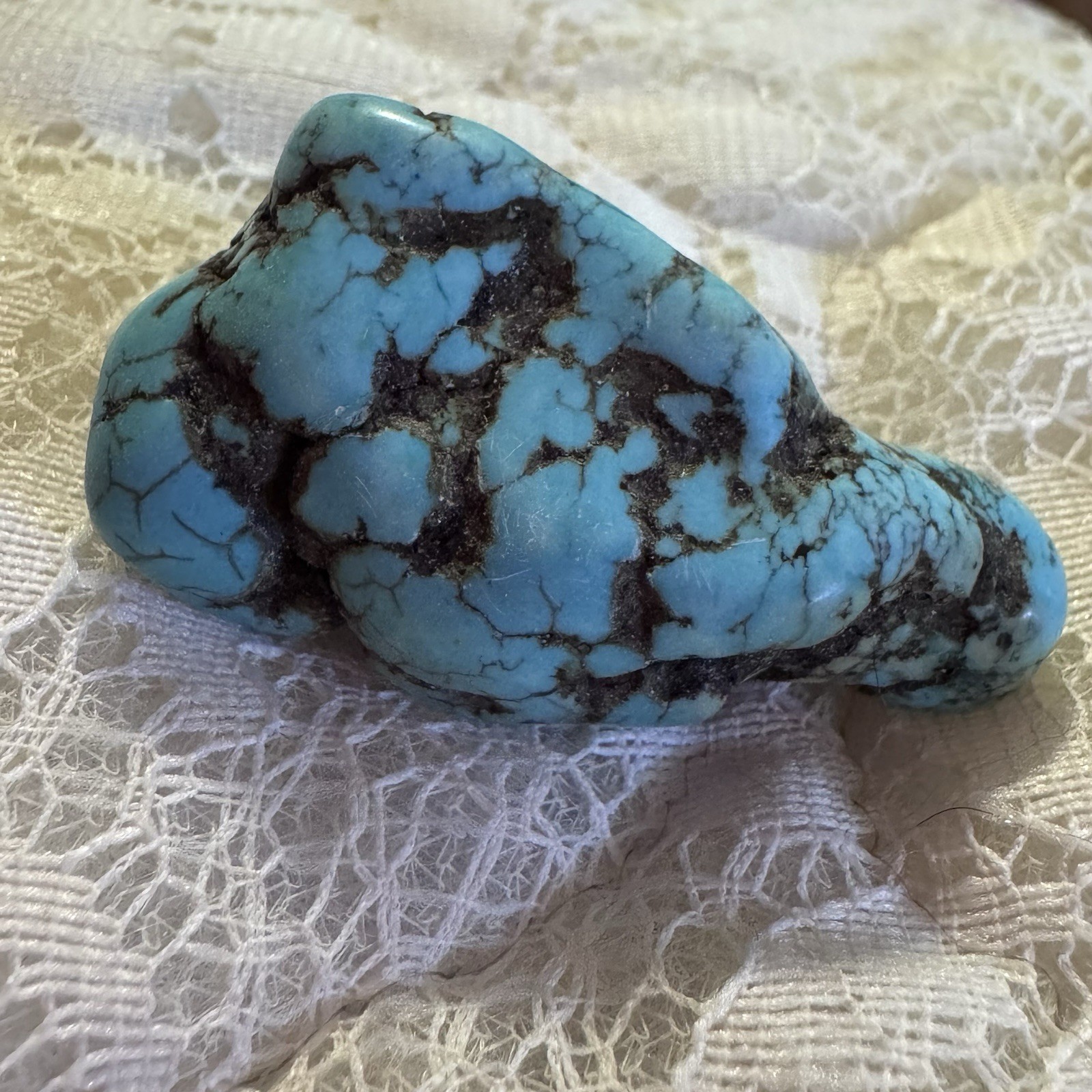 Large Natural Turquoise Freeform Polished Stone Black Matrix Nice Specimen 1.5”