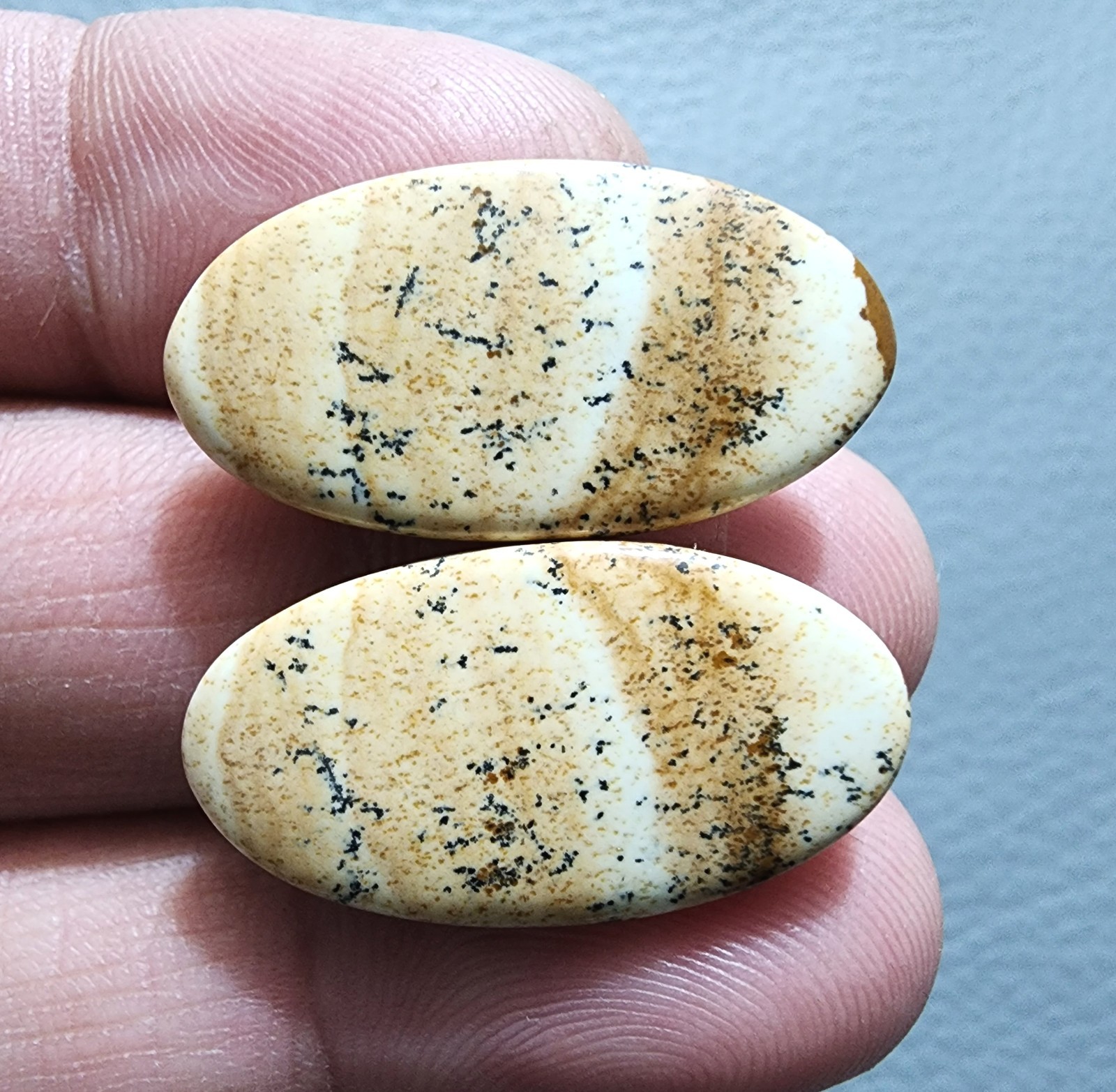 Beautiful Picture Jasper Oval Cabochon Matching Pair 29.70Cts Natural Gem