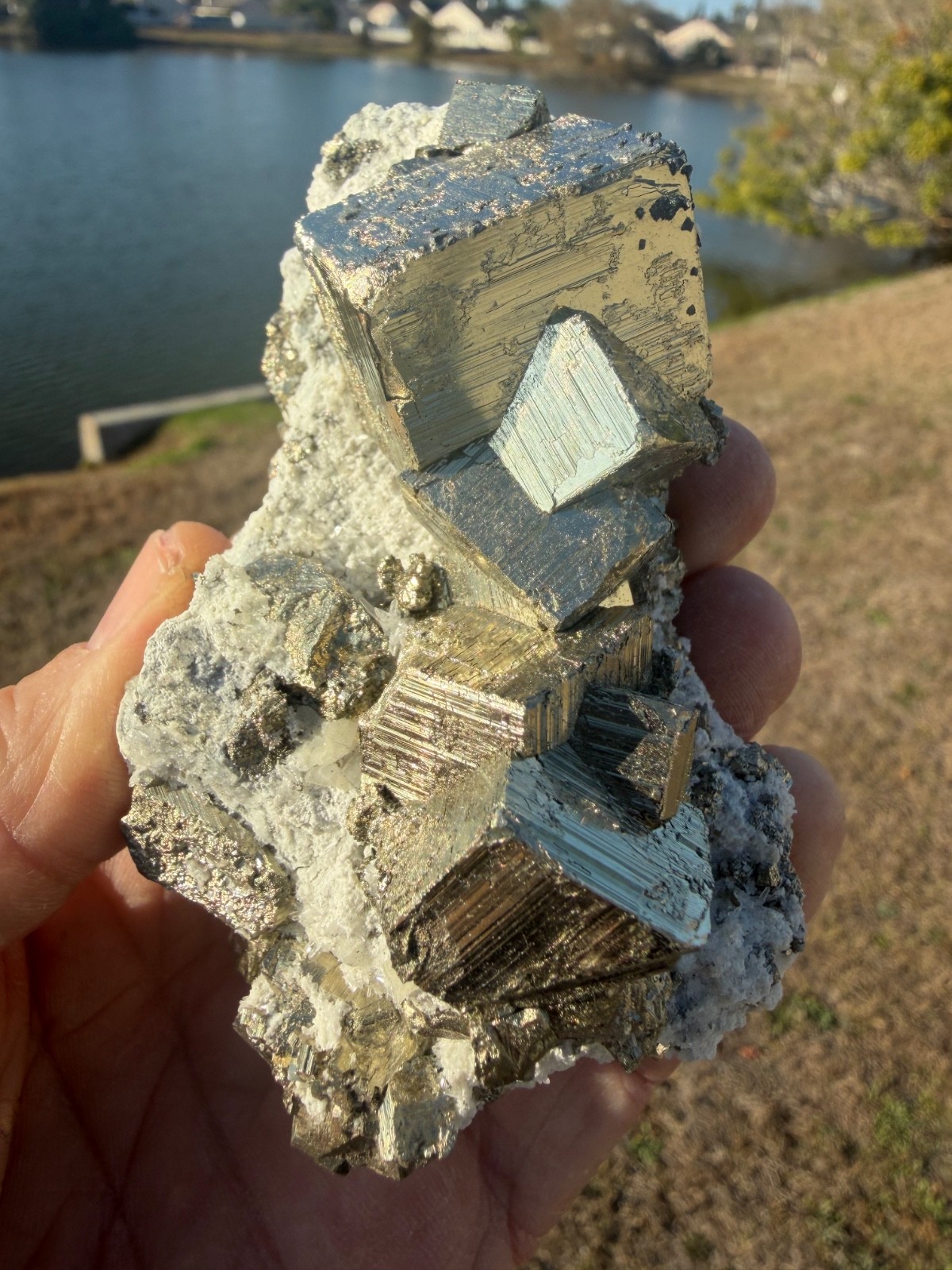 AAA PYRITE Crystal CUBE Cluster Huanzala Mine Peru 346gr 4″+ wide