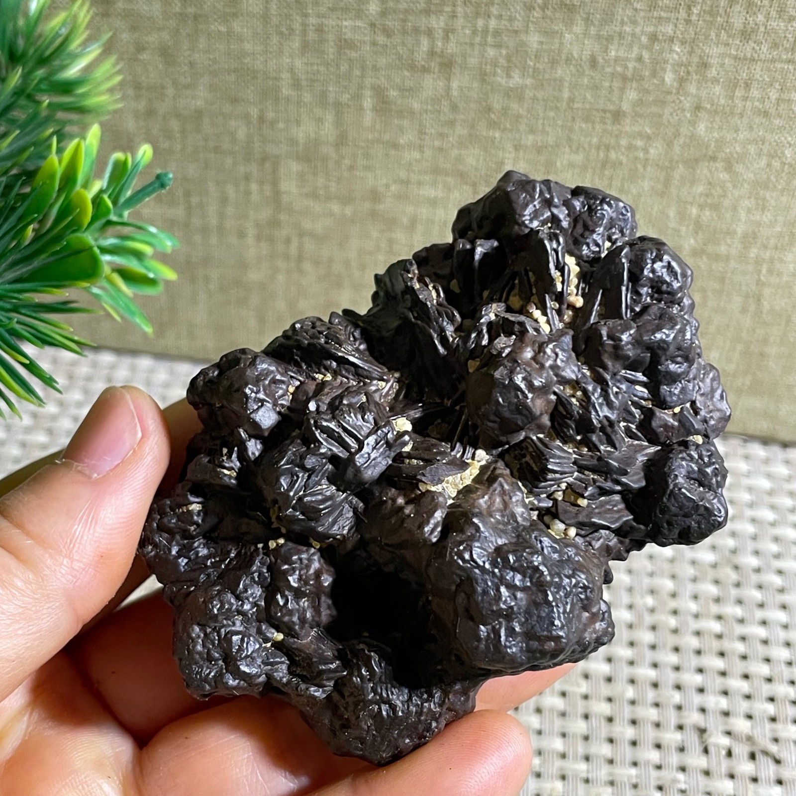 167g Limonite & Hematite pseudomorph after Marcasite Prophecy Rock Stone