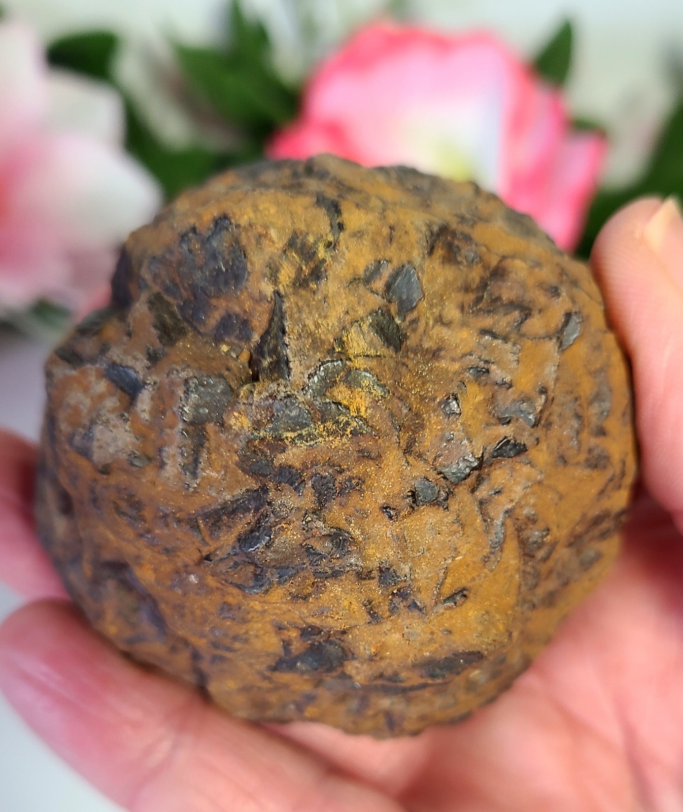 XL 2.4″ 273g Prophecy Stone Z “Golden Meteorite” Egyptian 3rd Eye Meditation