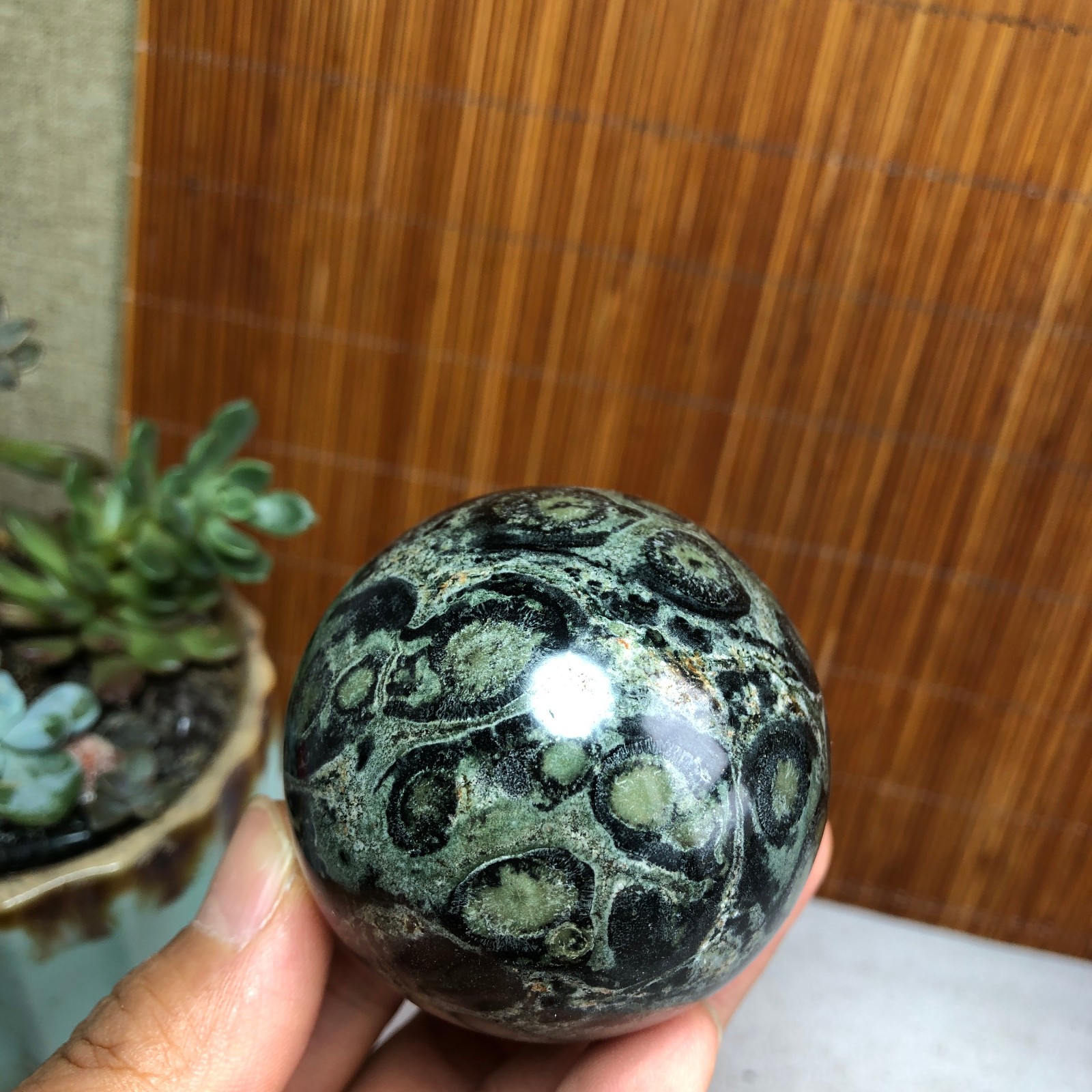 53mm NATURAL Green Kambaba jasper sphere ball quartz Crystal Healing 221g A6141