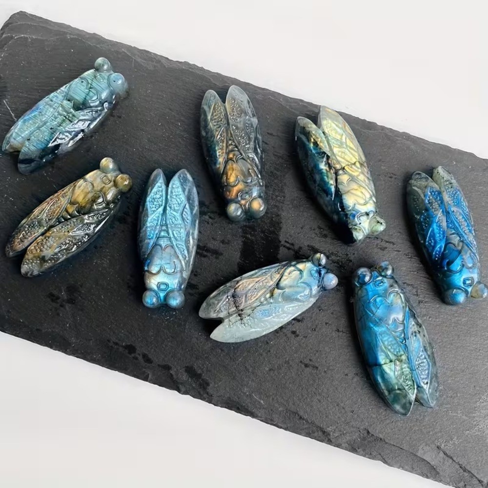 Natural Labradorite Cicada Hand Carving Crystal Figurine Reiki Healing Stone 5pc