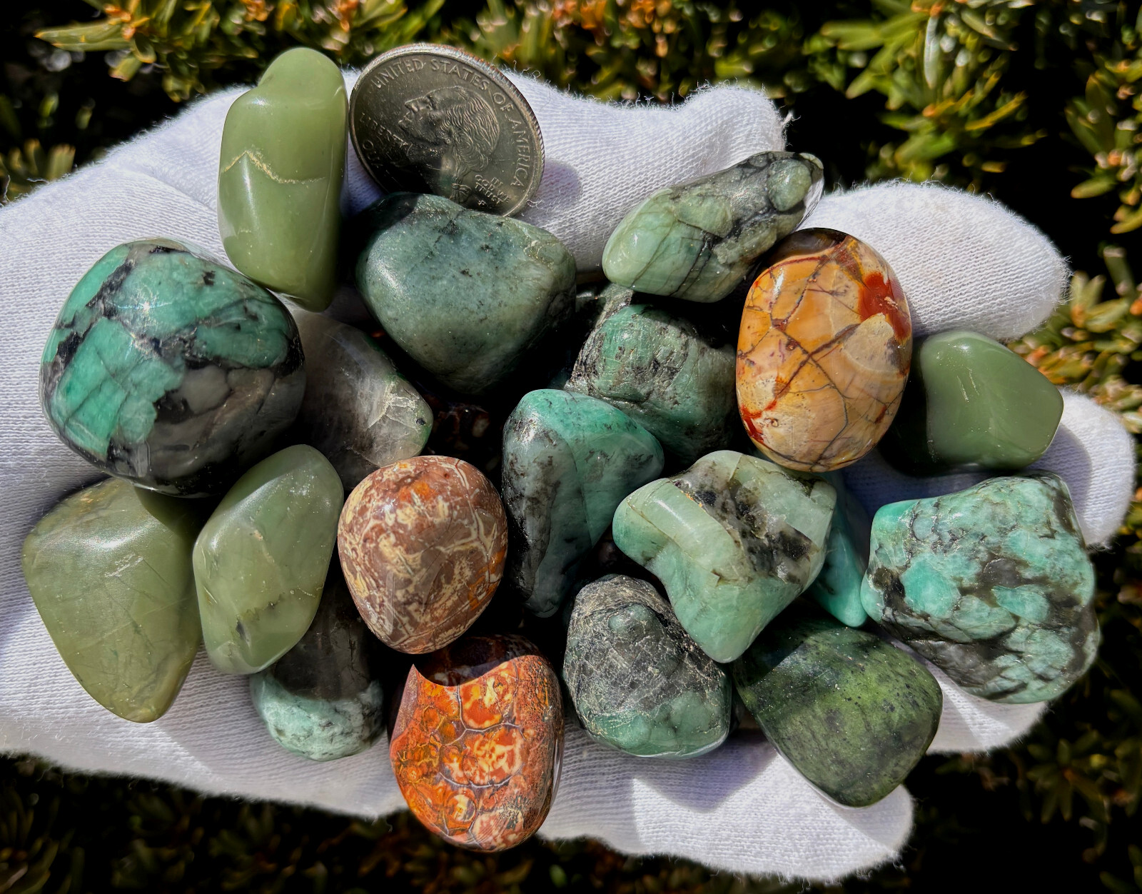 USA SALE 335g LOT EMERALD/GREEN CHERT/BIRD’S EYE RHYOLITE TUMBLES TUMBLED