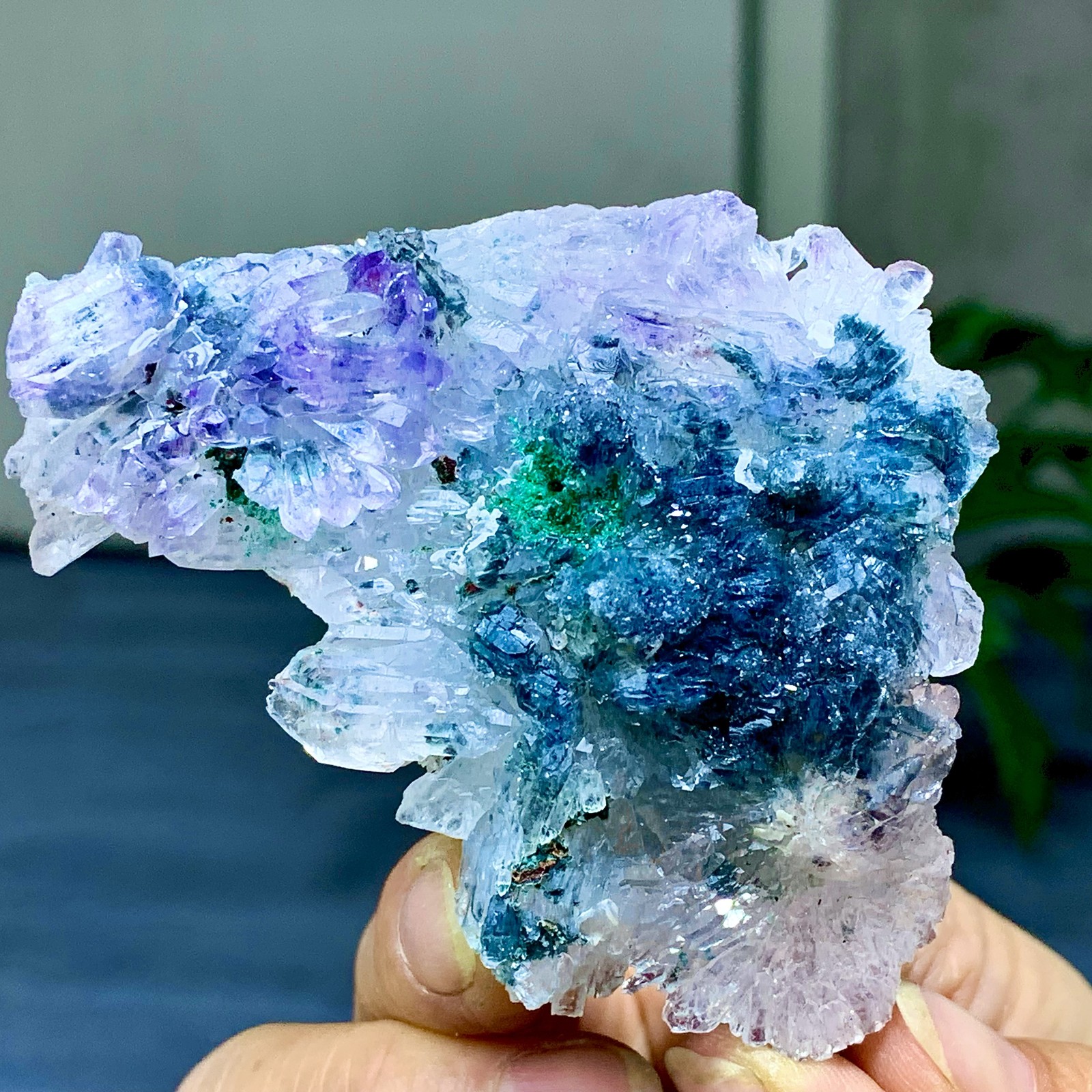 81G Natural Vision Amethyst quartz cluster crystal druzy mineral specimen