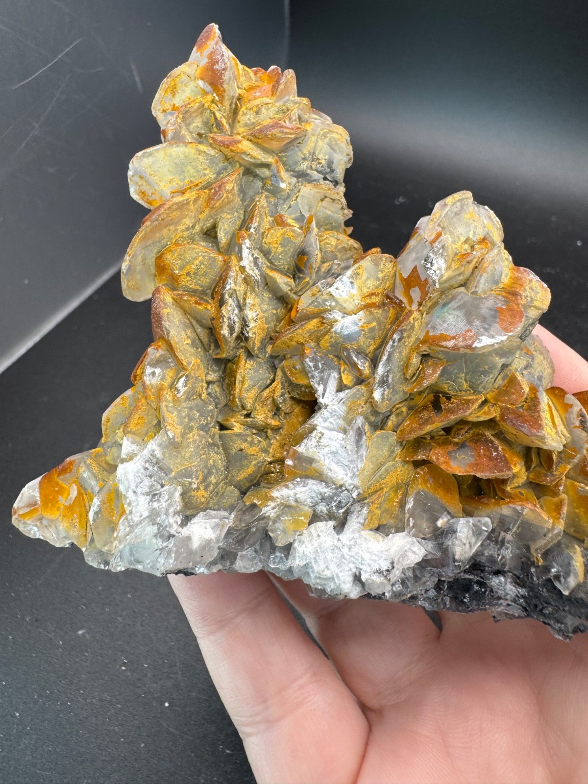 6642 Double Sided Shell Calcite Formation Fu Jian 175g