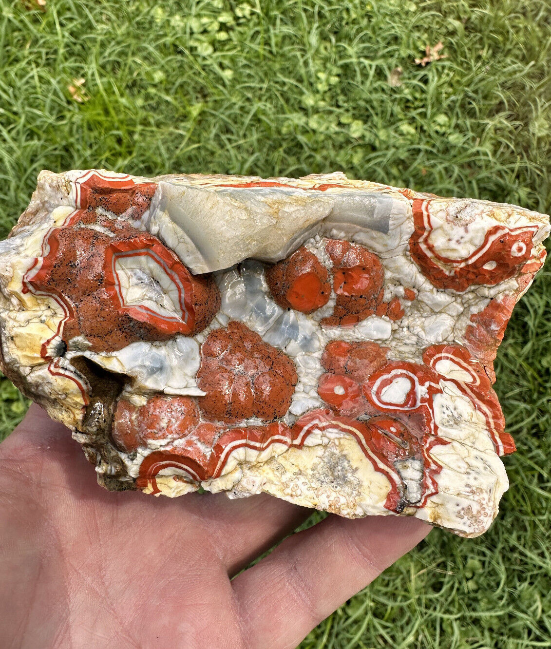 Large Natural Rare Kentucky Agate Rough from Estill County
