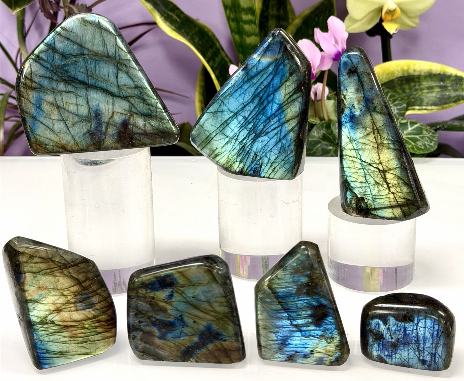 Wholesale Lot 3 Lbs Natural Labradorite Freeform Crystal Healing Energy
