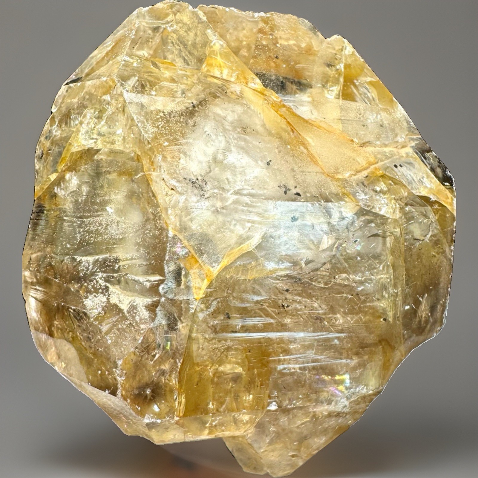 “The Golden Codex” Hashupi Himalayan Skeletal Quartz Record Keeper Frame Crystal