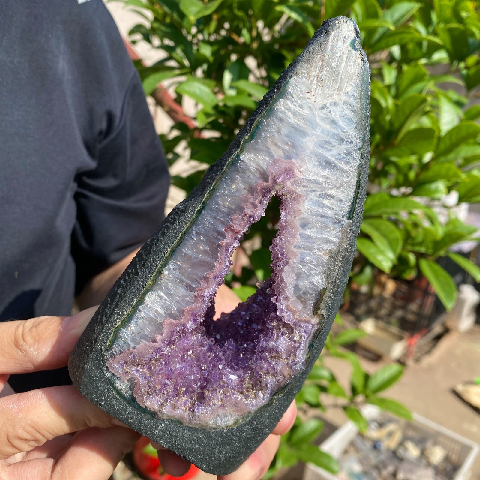 730G Natural Amethyst geode quartz cluster crystal specimen Healing