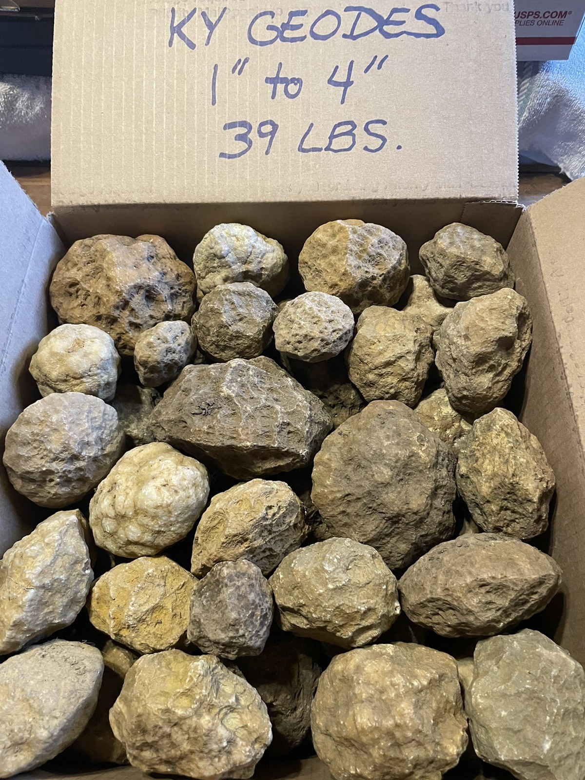LARGE FLAT RATE BOX OF KENTUCKY GEODES:VARIOUS SIZES-1” TO 4”. LAPIDARY! 39 LBS.