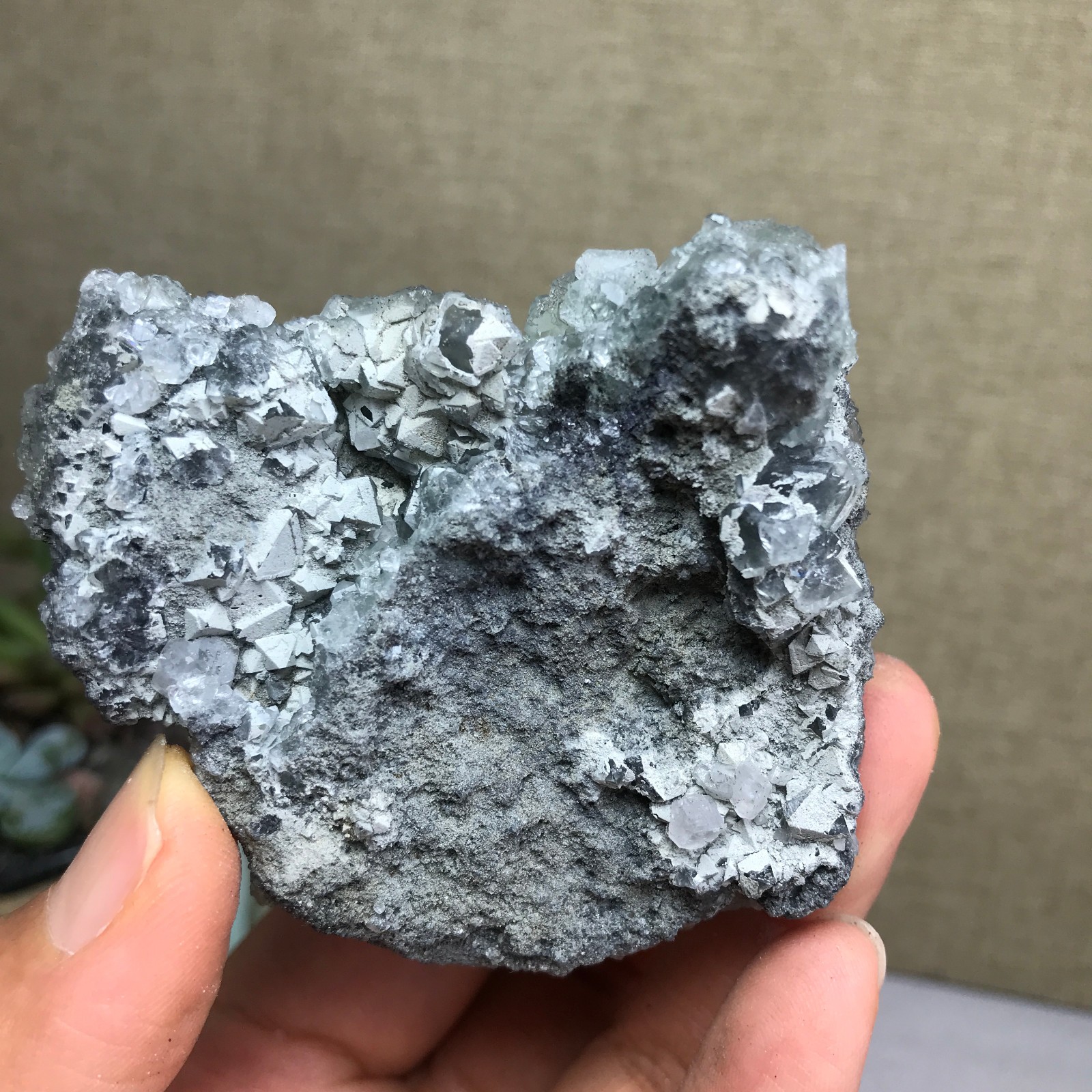 141g NATURAL Green Cubic FLUORITE paragenesis Crystal Cluster Specimen A4783