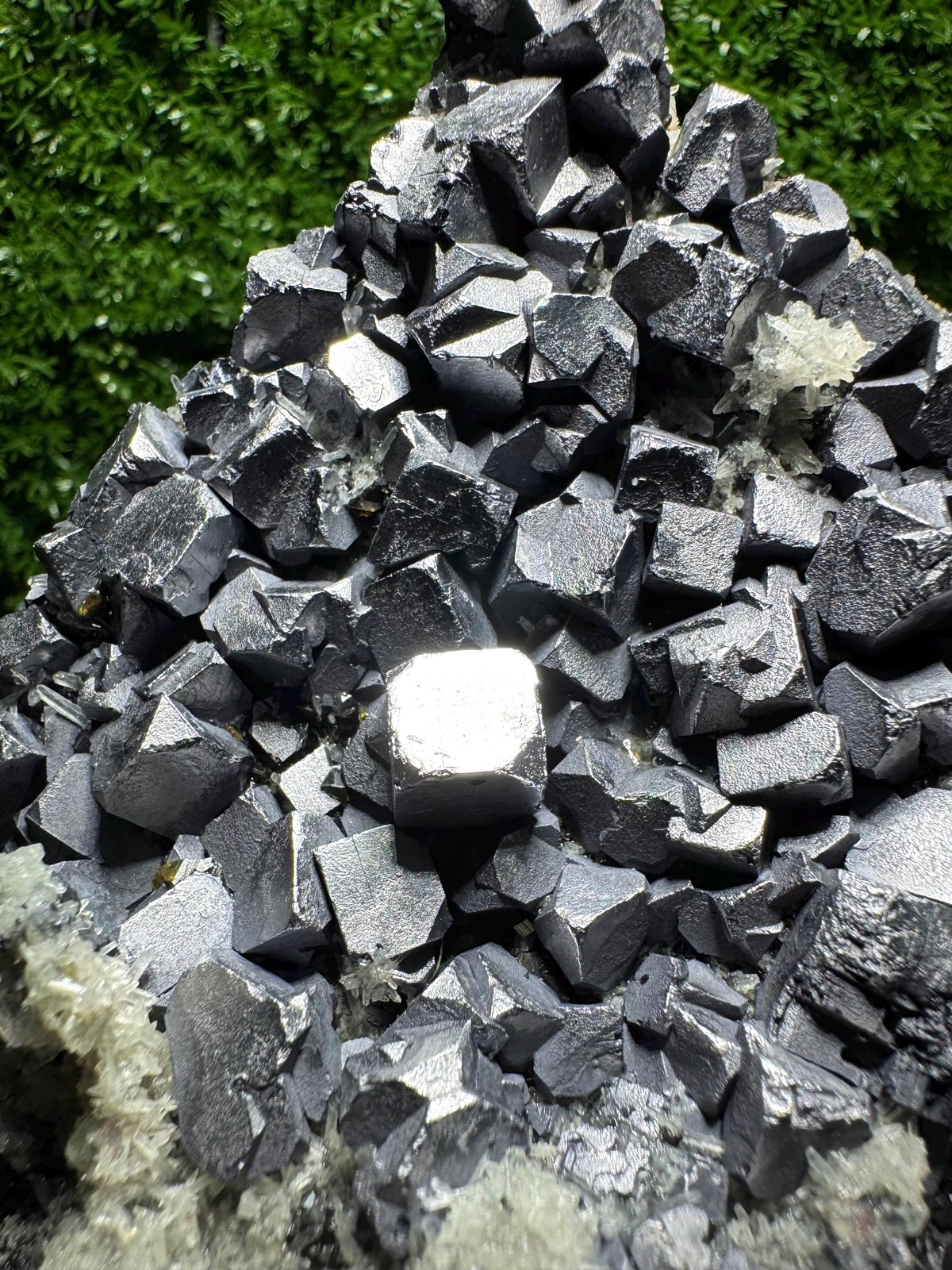 Spectacular! Cluster Of GALENA Crystals With Quartz / N45