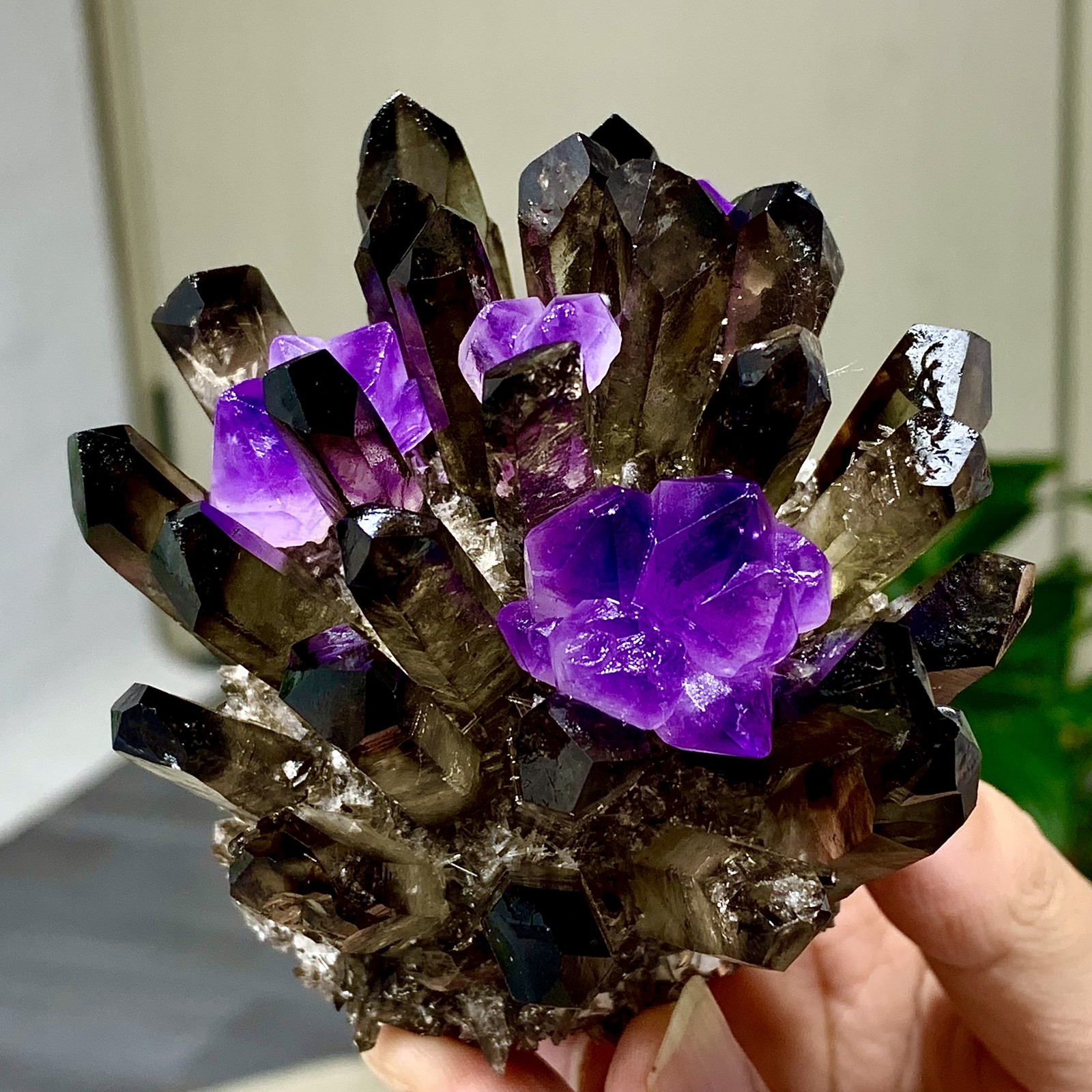 400G New Find black+purple Phantom Quartz Crystal Cluster Mineral Specimen