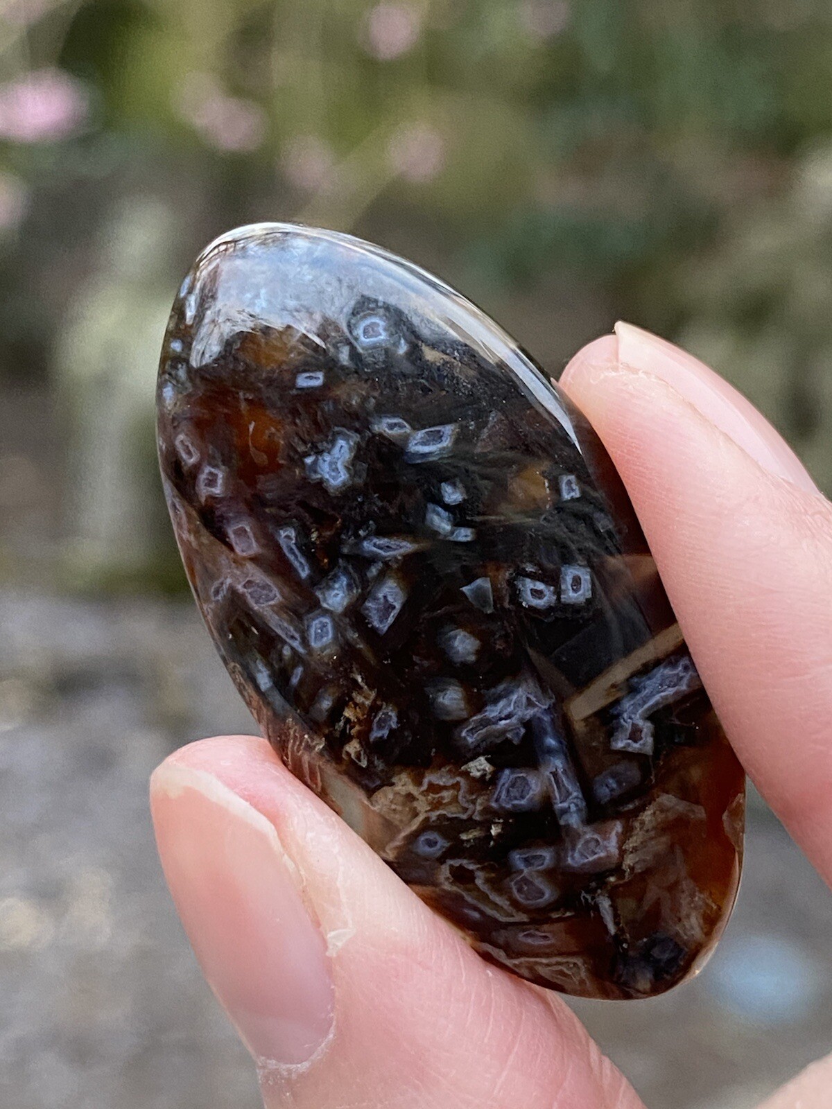 Turritella Agate Cabochon AAA+ 5g 1914