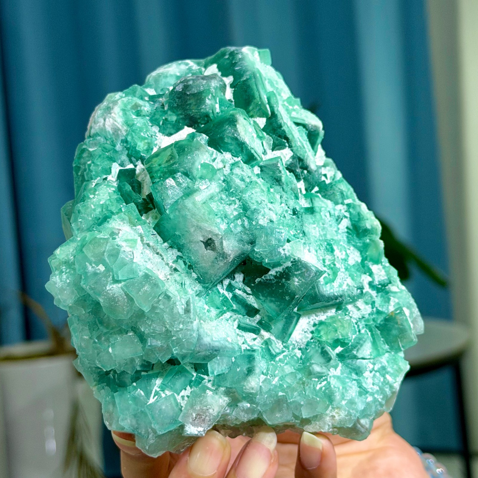 2.22LB Rare transparent green cubic fluorite mineral crystal sample/China