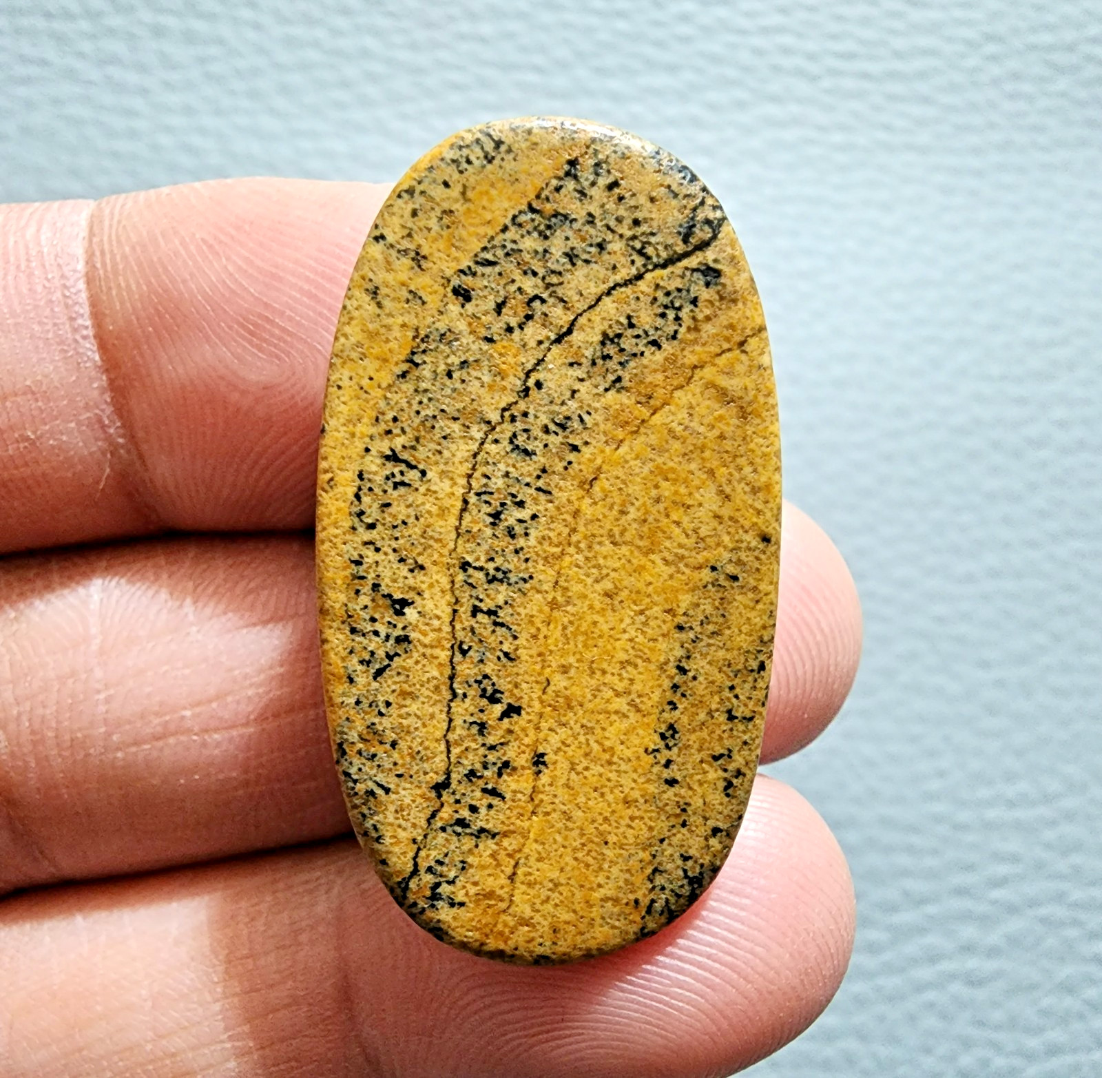 Unique Natural 41.60ct Picture Jasper Oval Cabochon – Gemstone Collector Stone