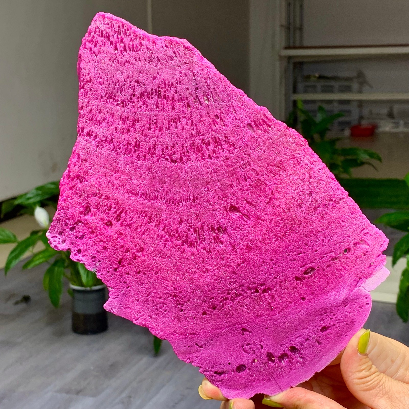1.14LB Natural Rough Red Corundum Phlogo Pit Mineral Spirits Ruby Raw Gemstone