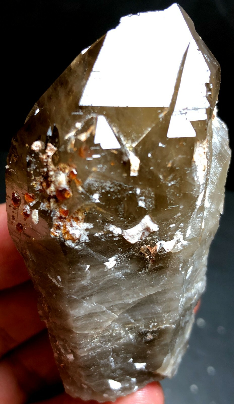 113g Brand new Rare Black SMOKY QUARTZ Crystal Point &Garnet Spessartine f195