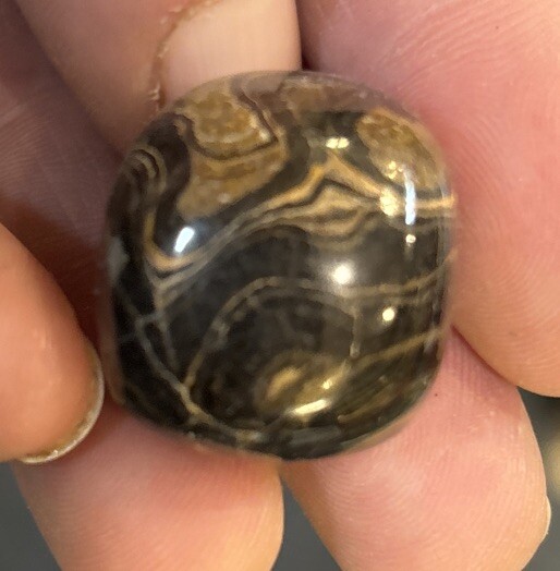 10 Pieces Of Tumbled A Grade Stromatolite Average Size 23 Grams