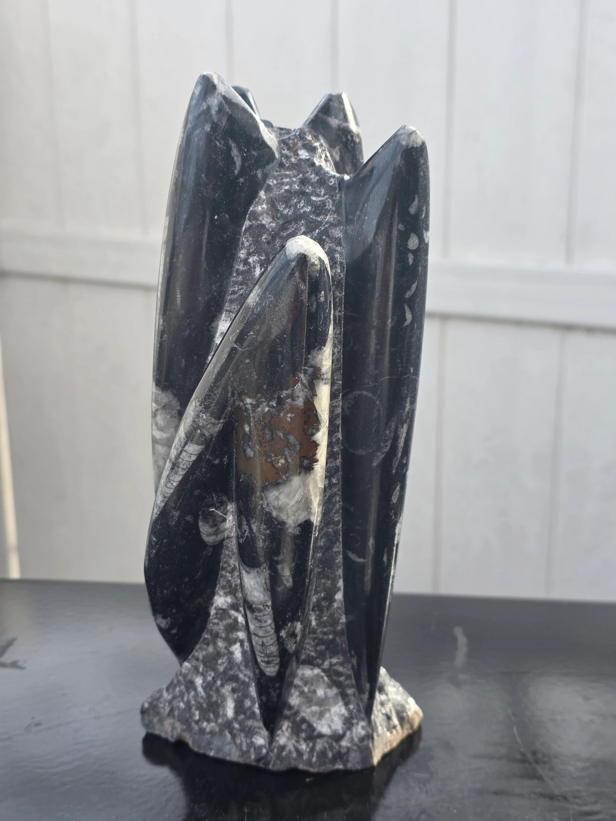 XL orthoceras limestone statue! 4.5 pounds, 9 inches tall, 3.3″ wide