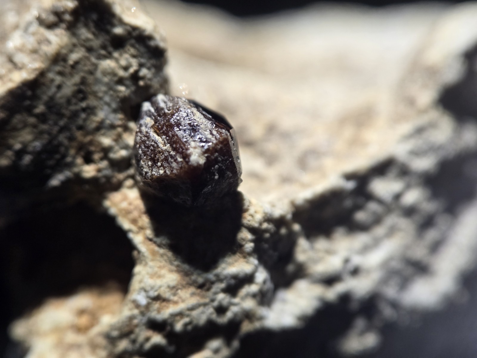 18g Dark Red Natural Garnet In Matrix Mineral Specimen