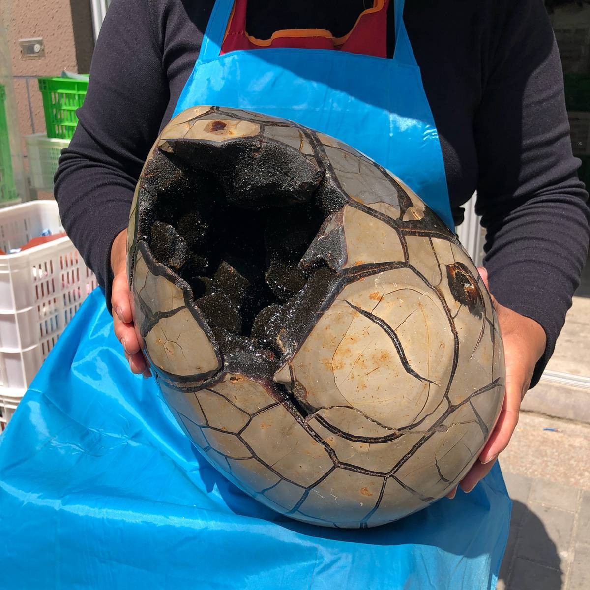 18KG Natural Turtle Back Stone Dragon Crystal Cave Crack Gem Healing 4333