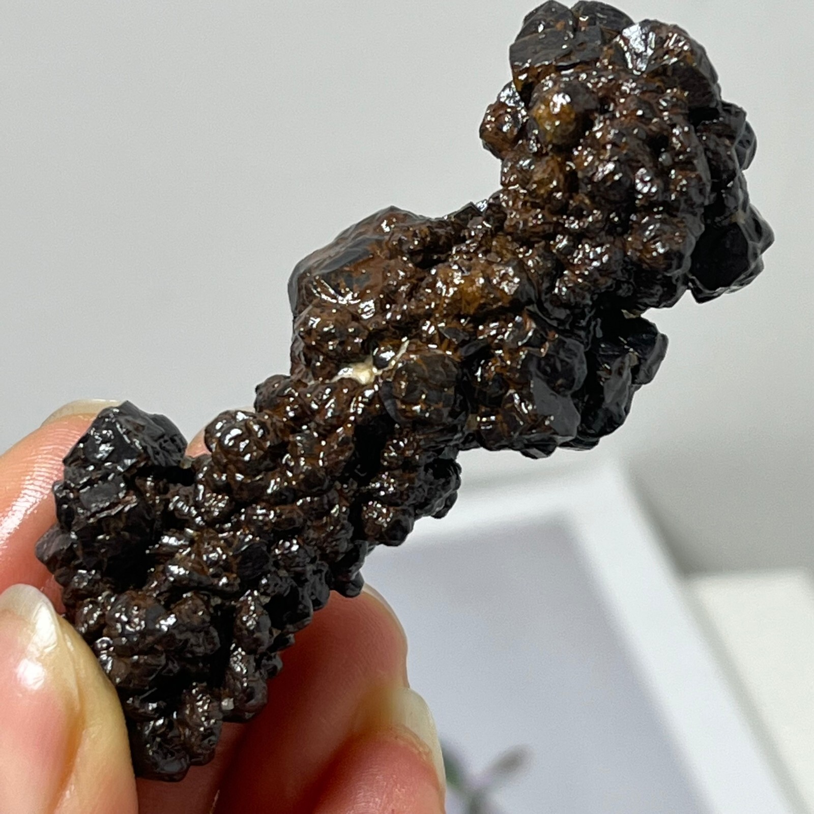 98g Limonite & Hematite pseudomorph after Marcasite – Prophecy Stone d24