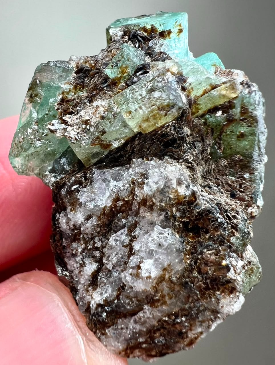68CT, Beryl Var!Top Green Full Terminated Natural Emerald Crystals on Black Mica