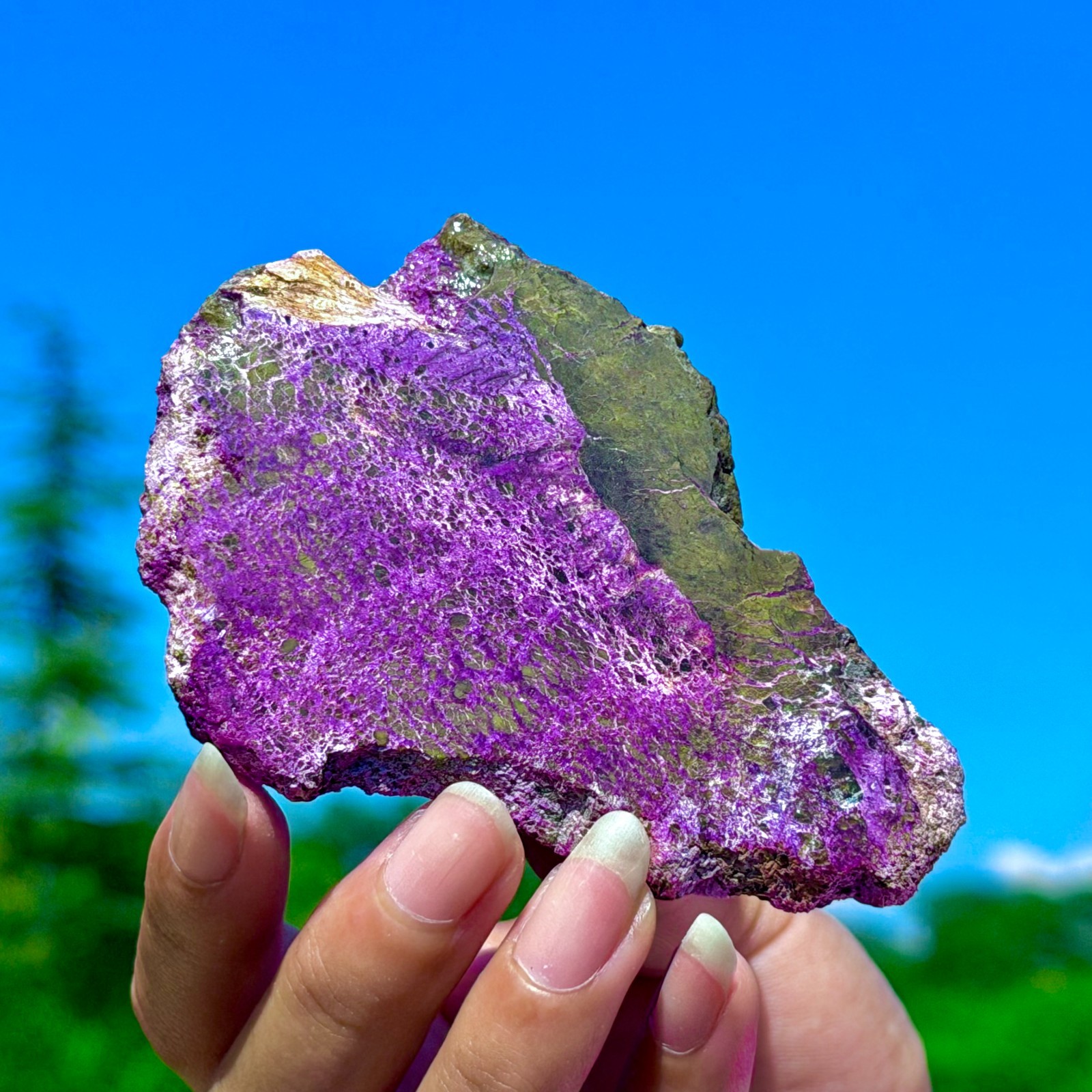 48G Namibia Natural Metallic Purple Purpurite Crystal Slice Extra Large Gem
