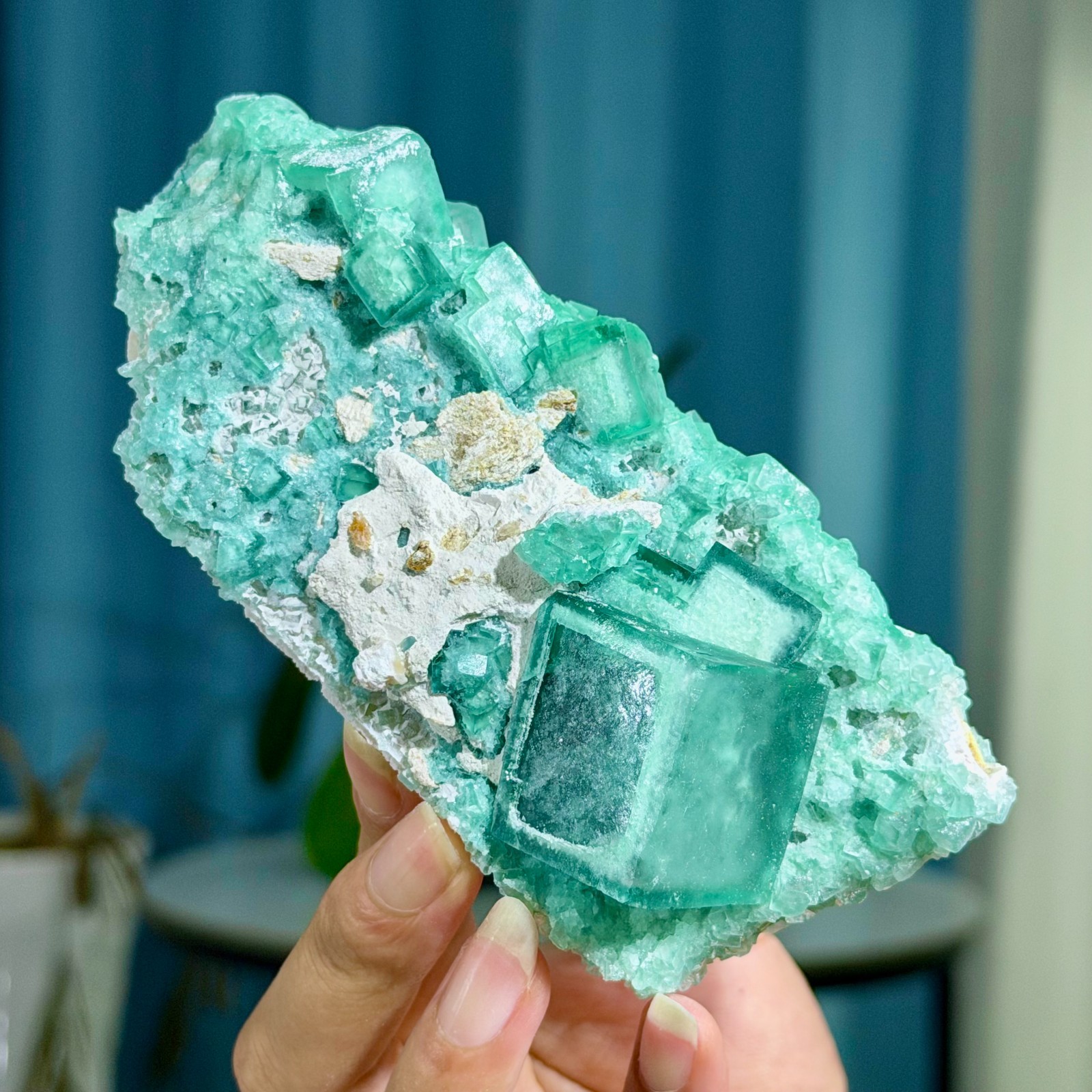 1.22LB Rare transparent green cubic fluorite mineral crystal sample/China