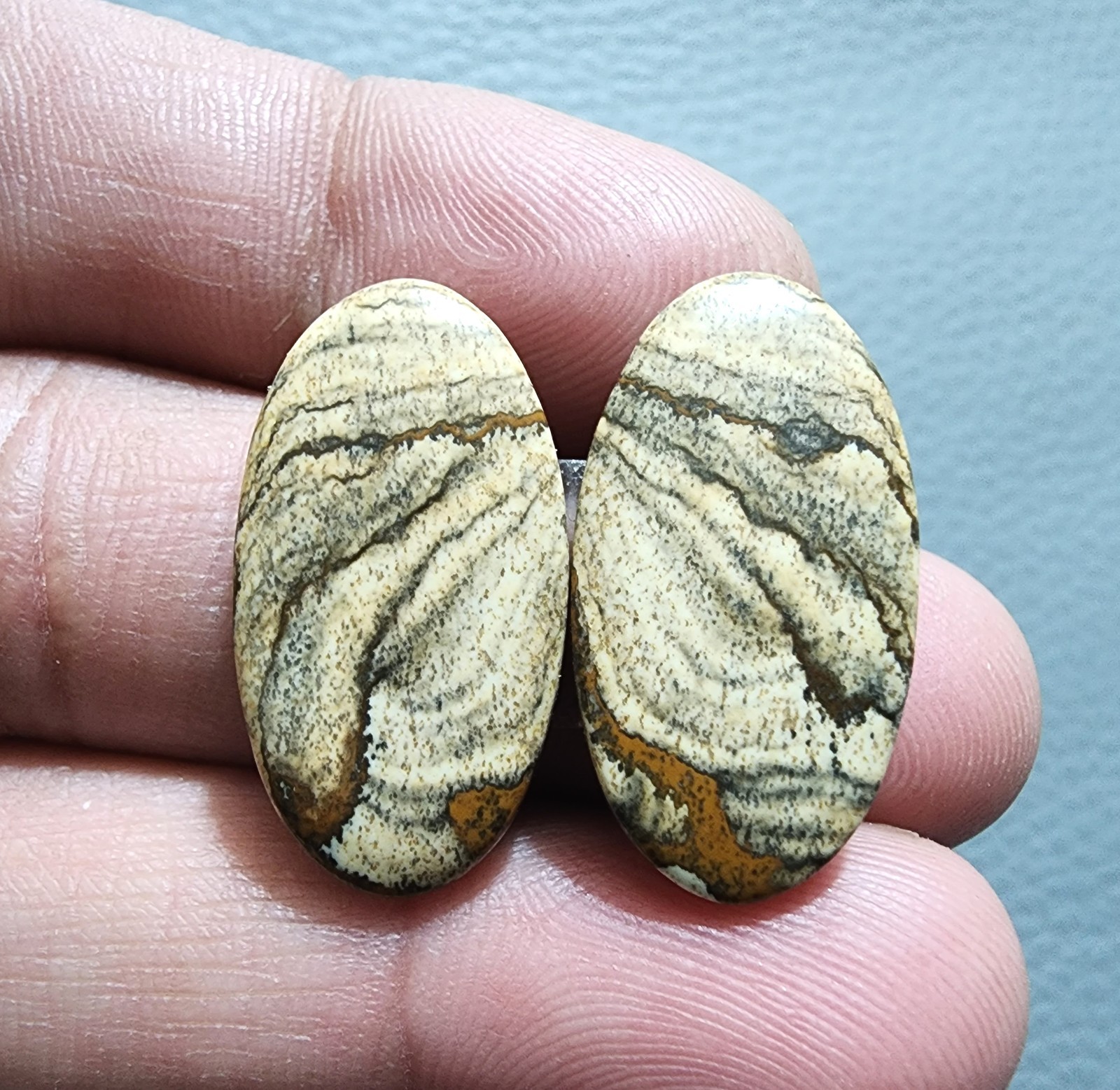 Natural Scenic Picture Jasper Pair 27 Cts Handmade Cabochon Beautiful Jewelry