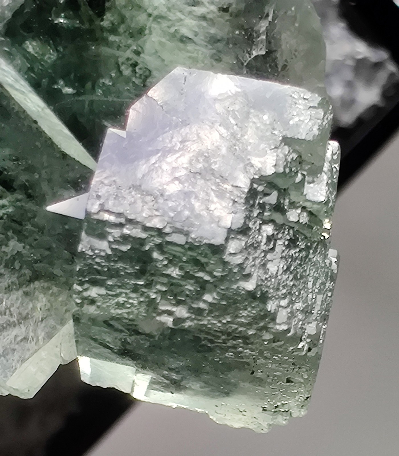 Fluorite crystals, gorgeous specimen! Xianghauling, Hunan, China. 3 cm.