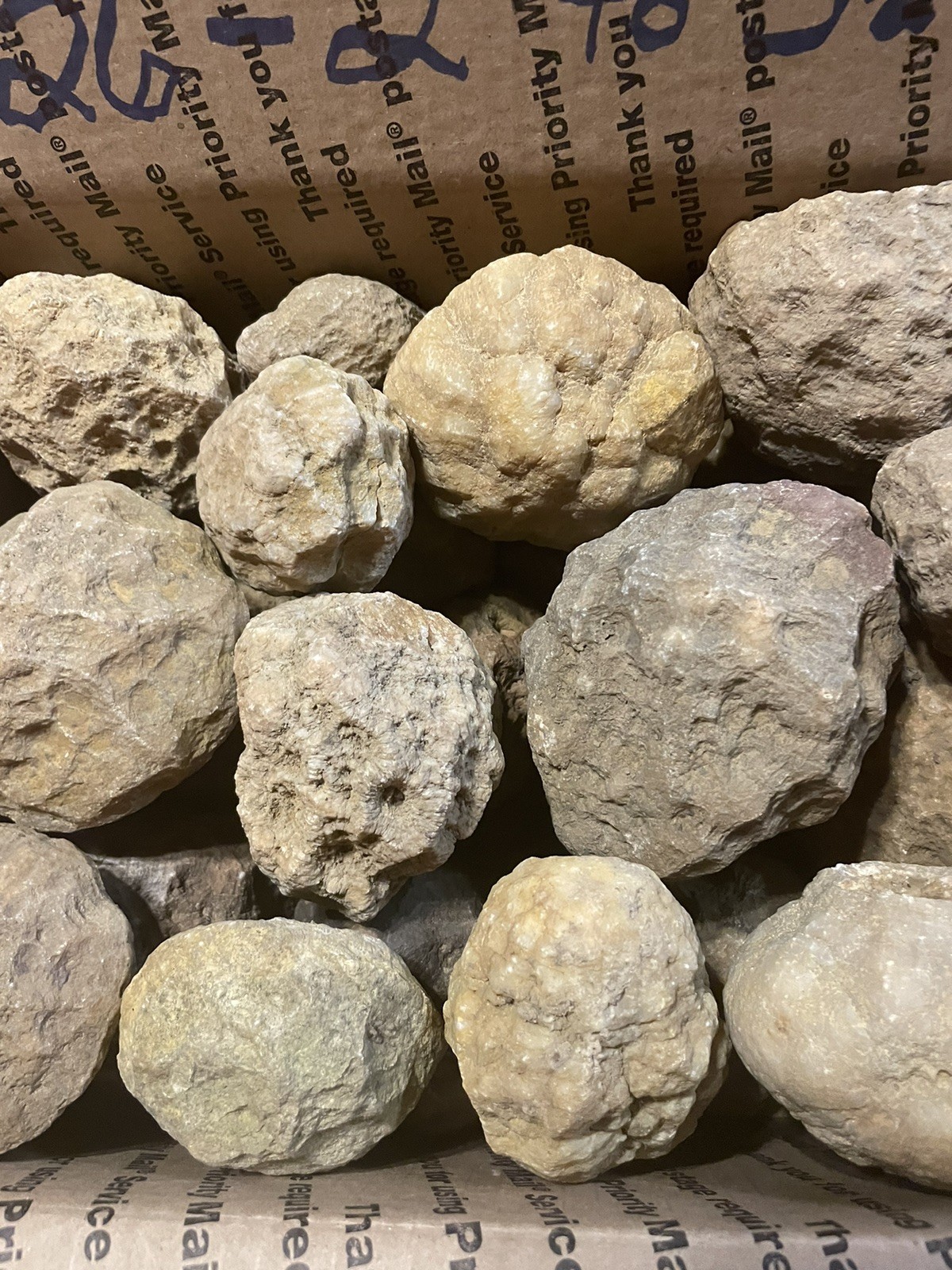 BOX OF KENTUCKY GEODES:26-2” TO 3 1/2” LAPIDARY!