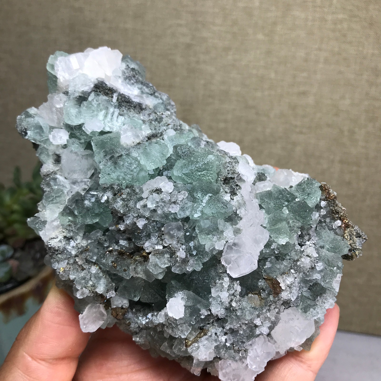 423g NATURAL Green Cubic FLUORITE paragenesis Crystal Cluster Specimen A4779