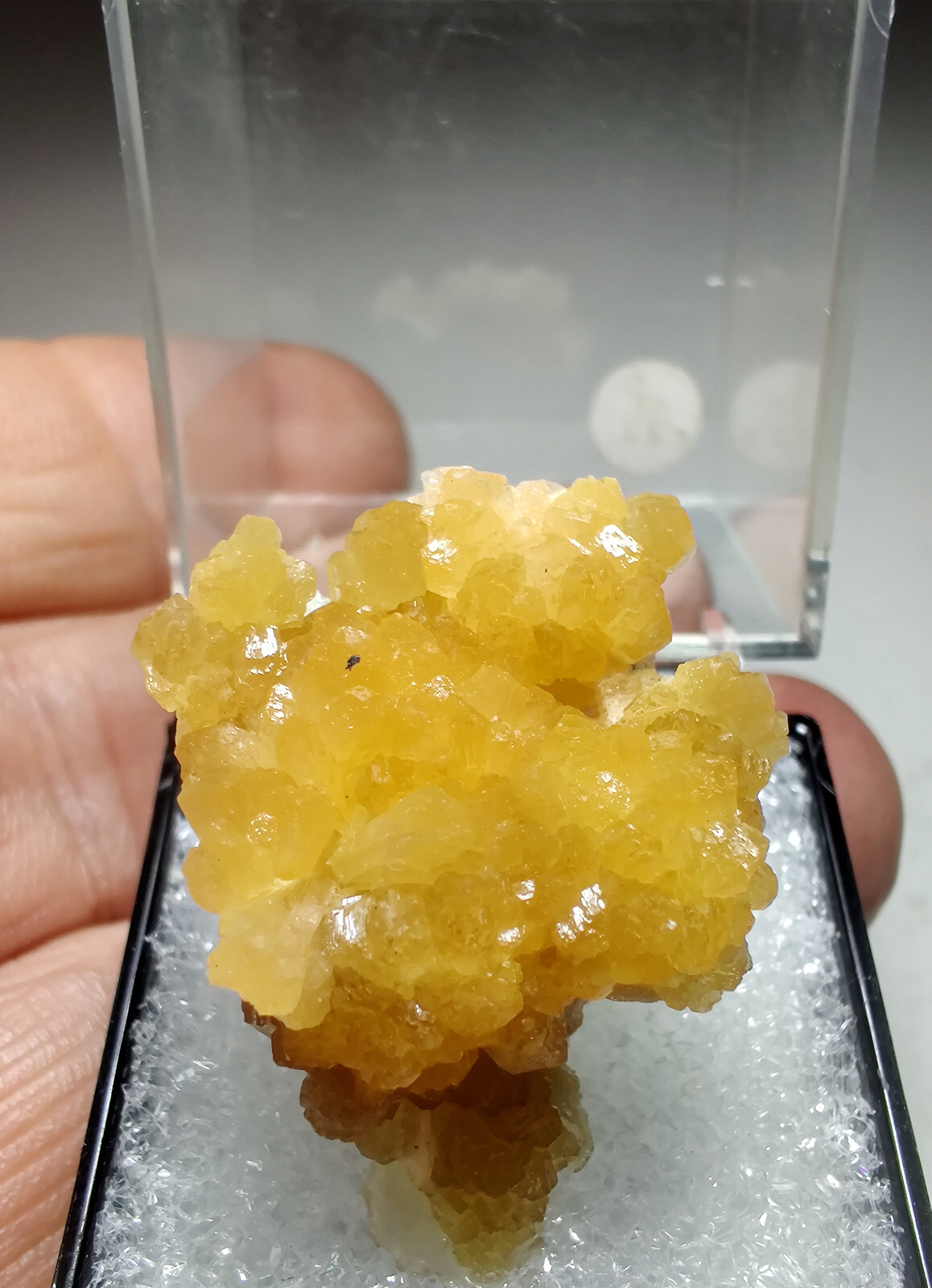 Stellerite crystals, gorgeous specimen! Sokolovsko Mine, Kazakhstan. 3 cm.
