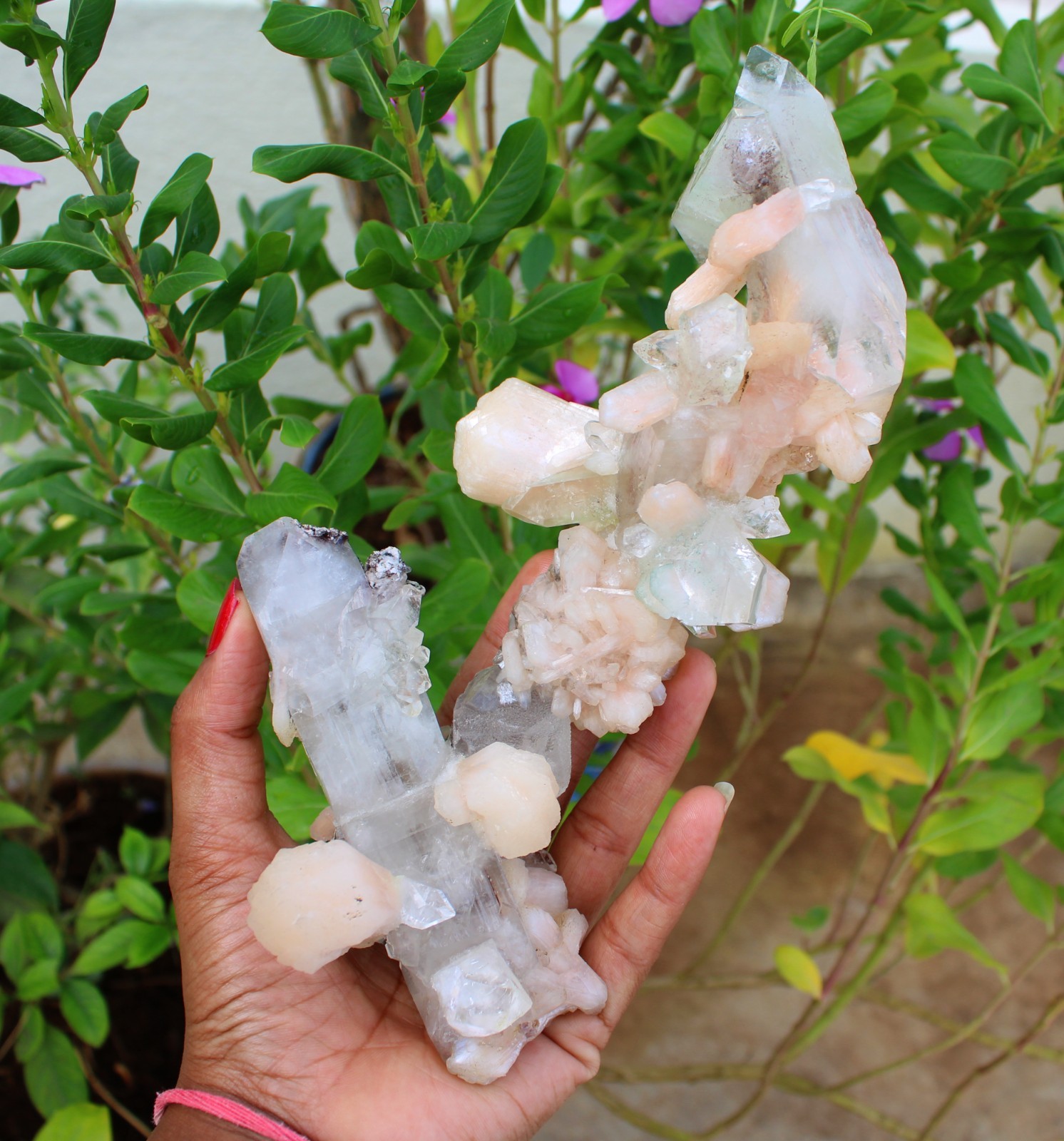 Apophyllite Crystals w/ Stilbite Formation Minerals Specimen ( 21×10 ) REPAIR