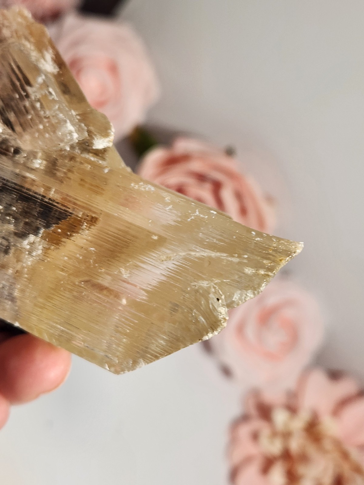 Naicia Selenite Crystal 188g Mineral Specimen Mexico 3.5×2.5×2 Inches Z5